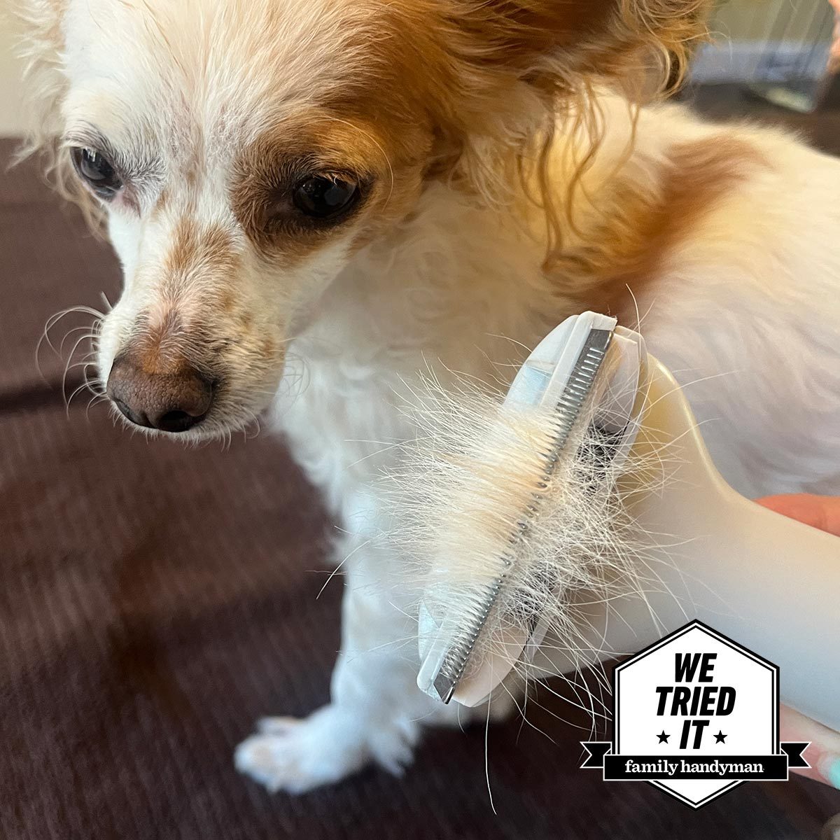We Tested This Dog Grooming Vacuum on Short-Haired and Long-Haired Pups