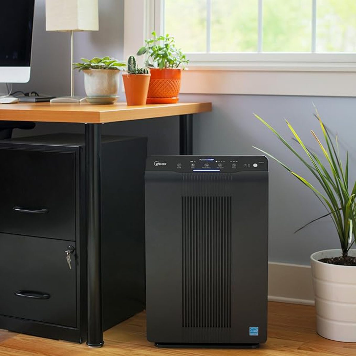 The 10 Best Air Purifiers for Every Room in Your House, According to a Microbiologist