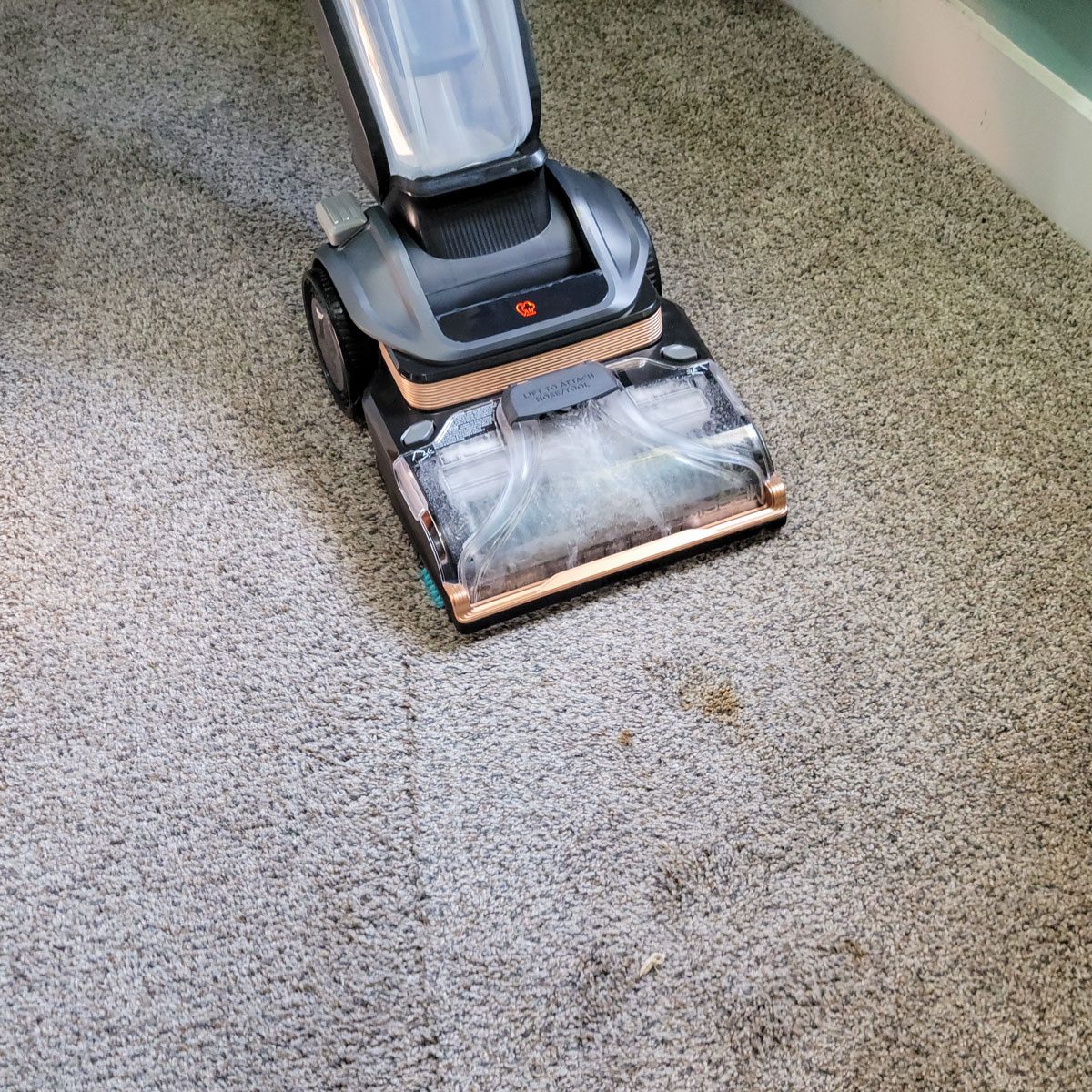 Bissell Revolution Hydrosteam Pet Carpet Cleaner