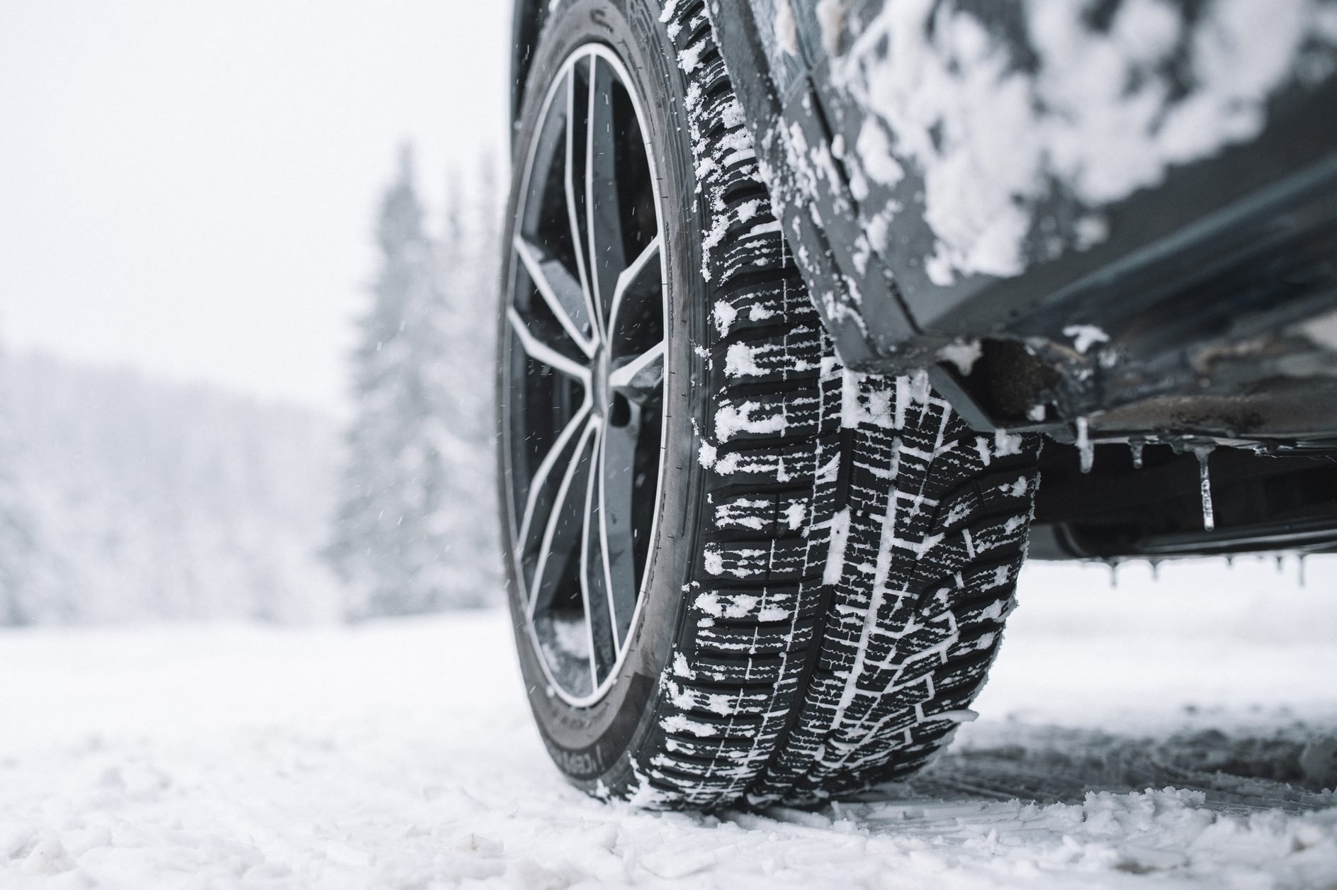 What Are All-Weather Tires?