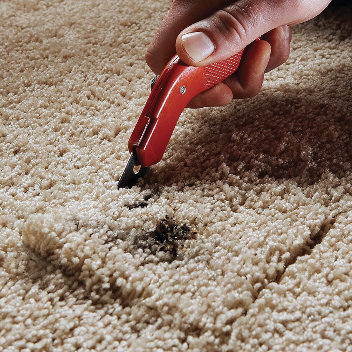 How To Repair A Hole In Carpet And Other Common Fixes Cut the damaged carpet and a replacement plug