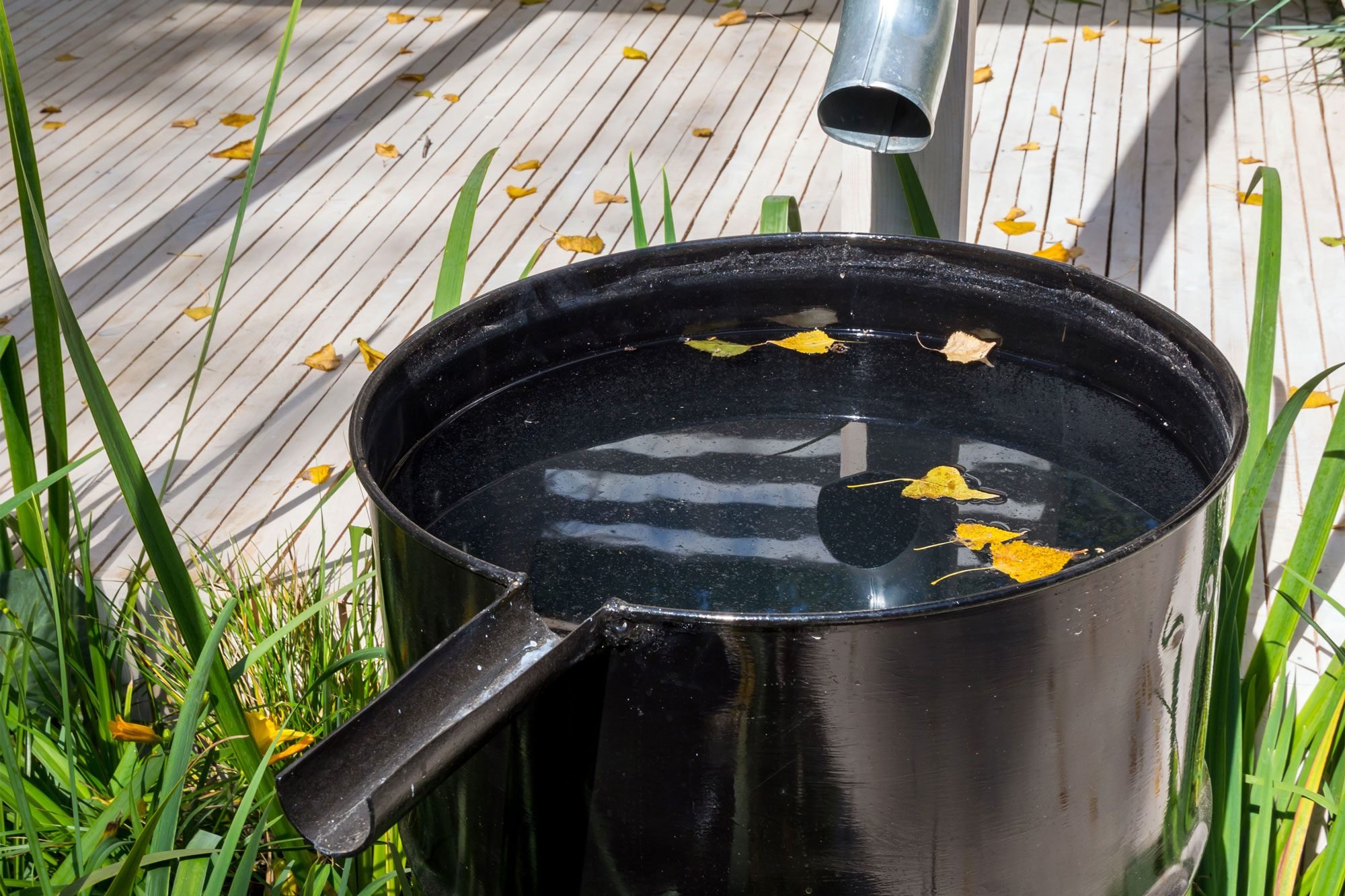 Beginner's Guide to Rainwater Collection (With Top 7 Benefits)