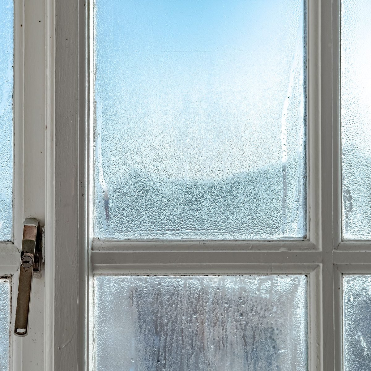Condensation on windows: causes, prevention and how to stop it 