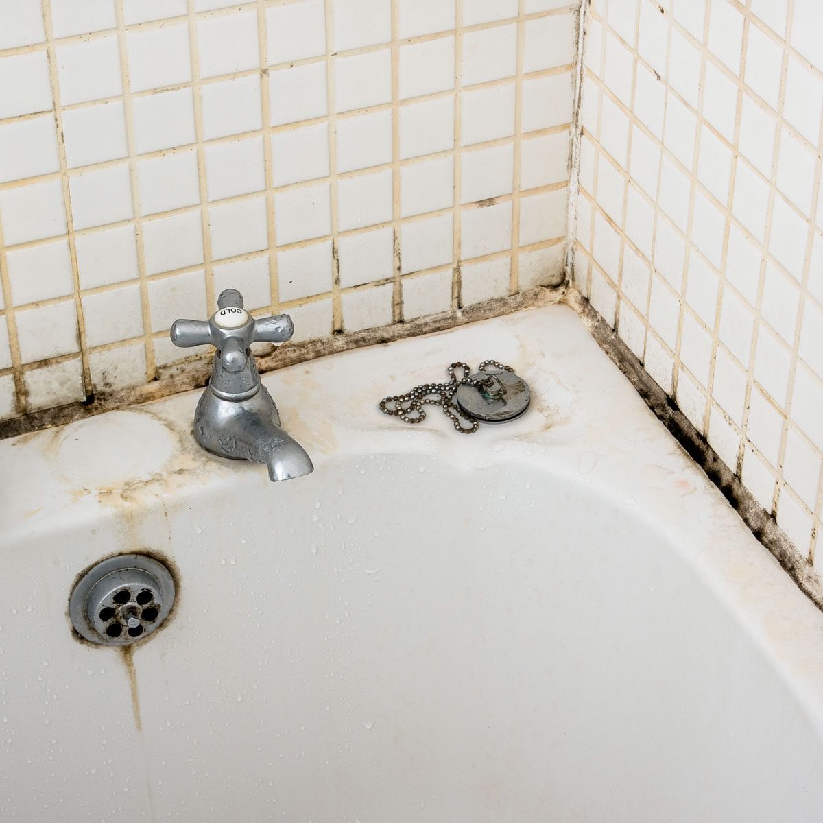 Bathroom Dirt And Mould On Grouting And Tiles Near Taps