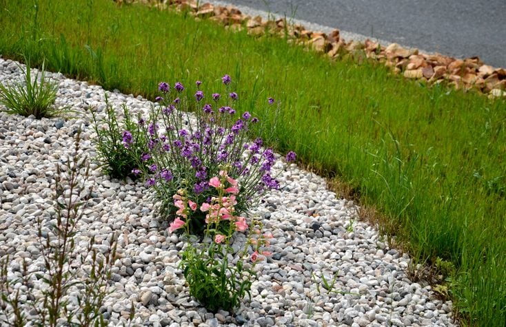 Pea Gravel Flower Bed Tips You Need to Know