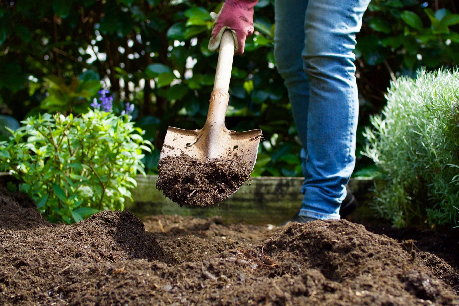 The 6 Types of Soil For Your Garden