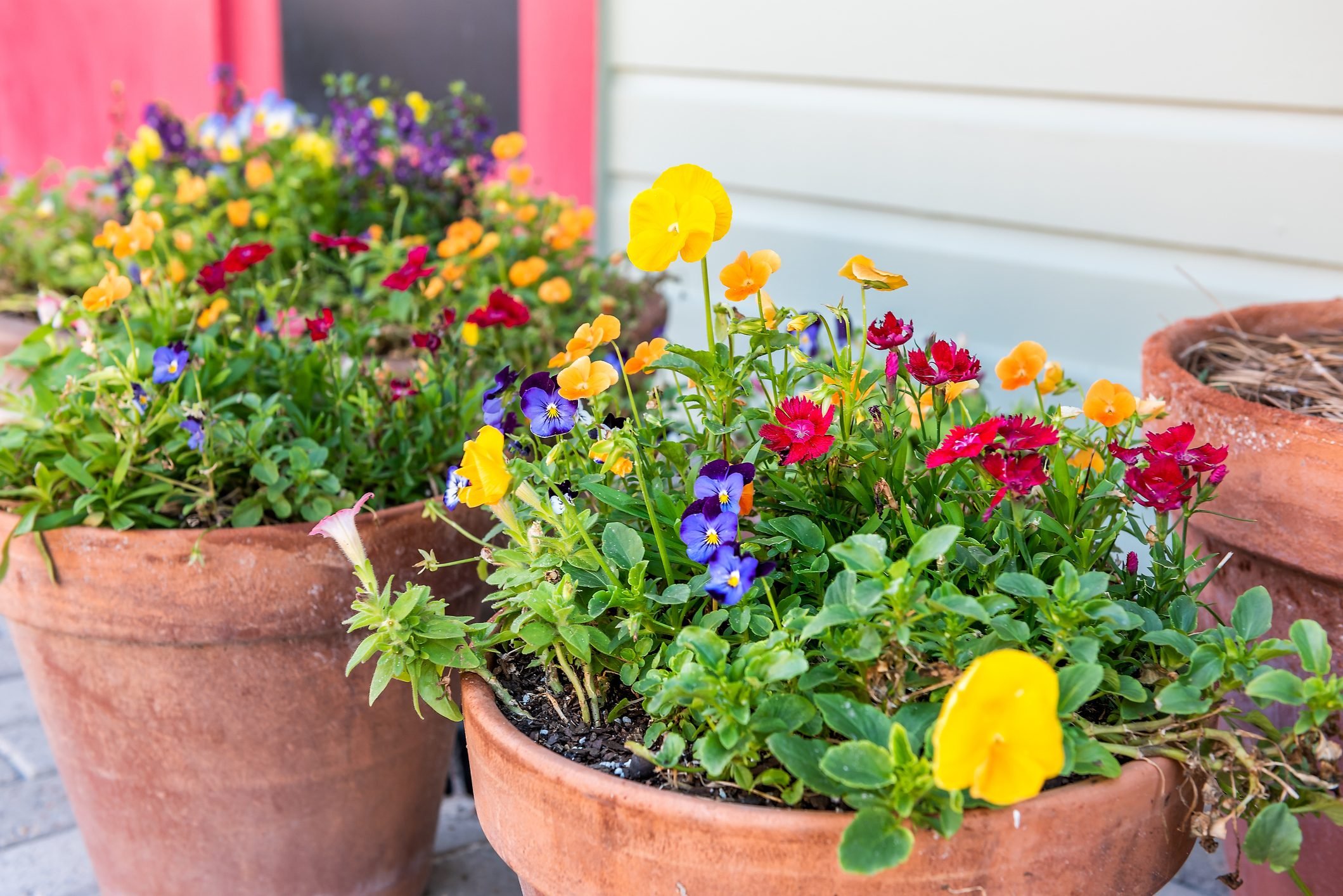 What to Put in the Bottom of a Planter for Drainage