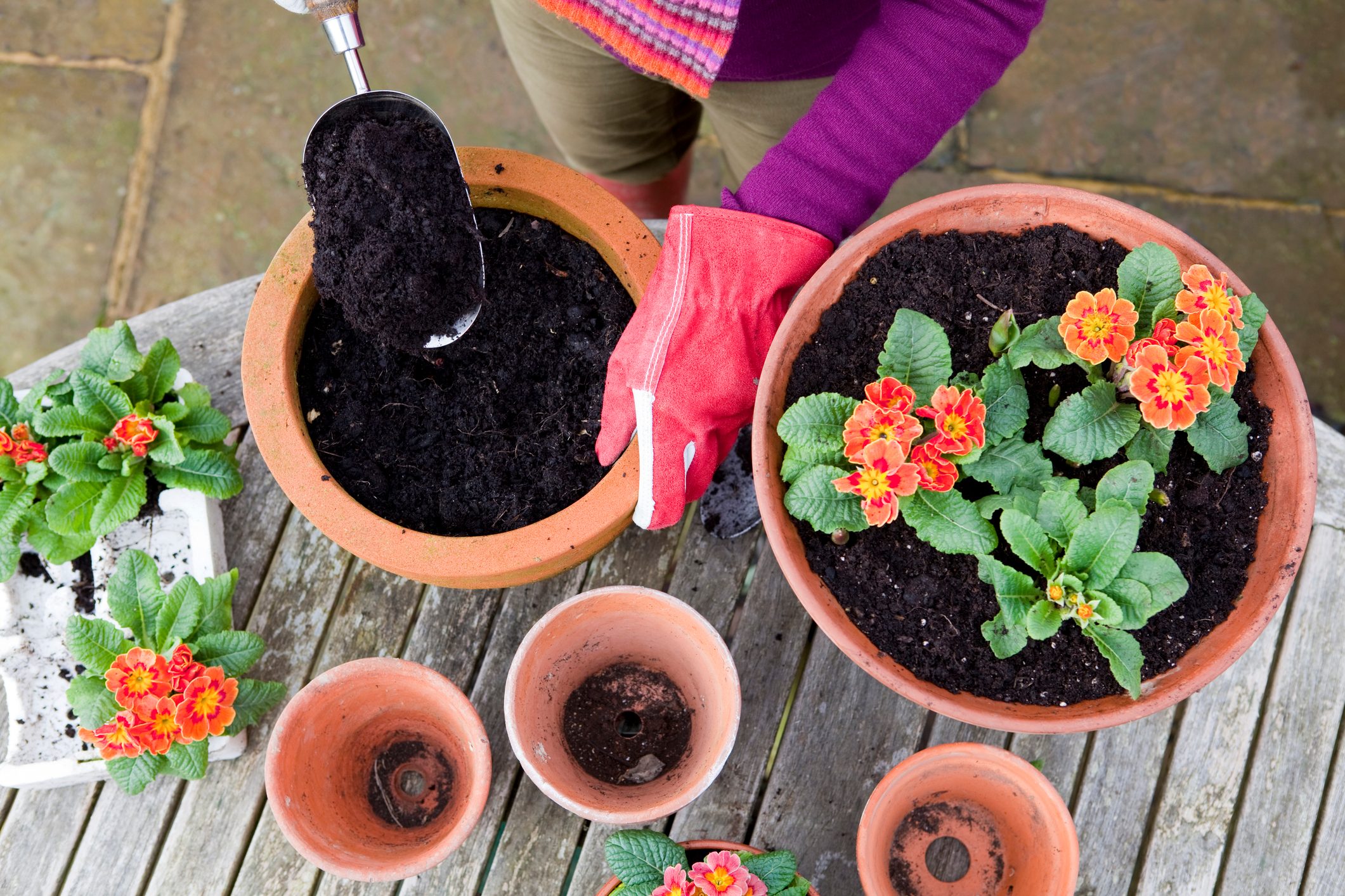 What should you put in the bottom of a planter for drainage?