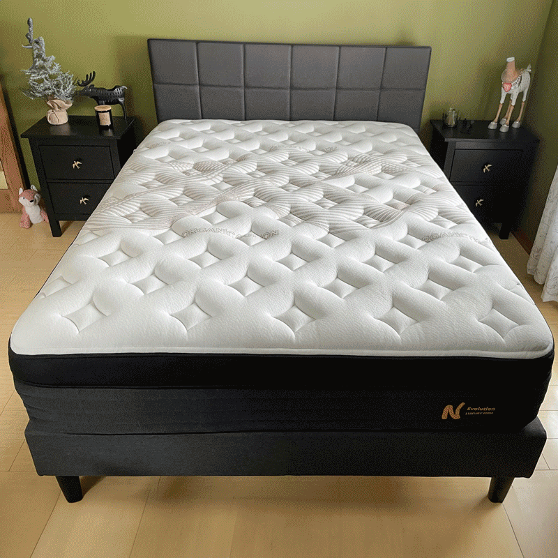 9 Best Box Mattresses of 2024, Editor Tested and Reviewed