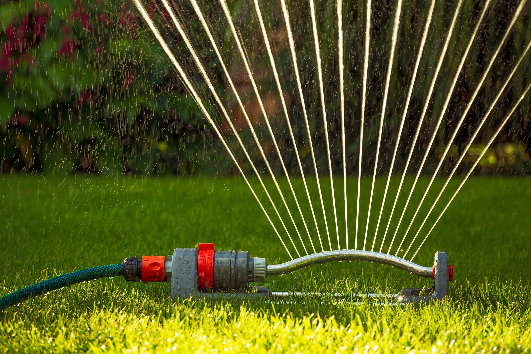 Lawn sprinkler