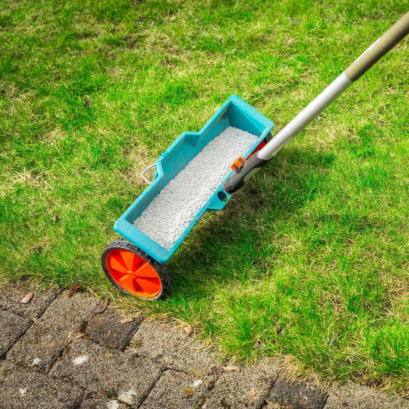 Fertilize lawn - Detail of Fertilizer spreader on green lawn