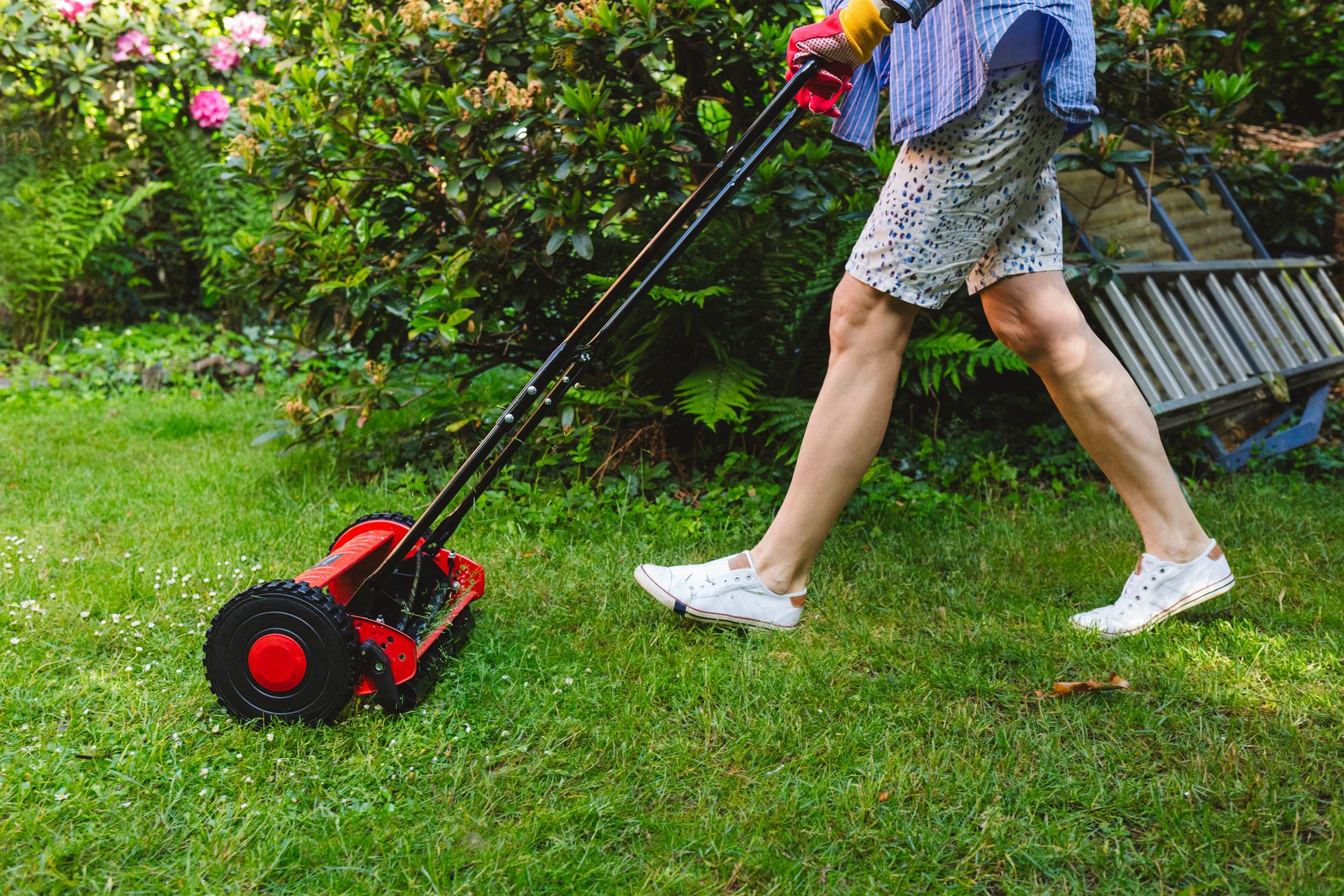 When Should You Start Mowing Your Lawn in the Spring?