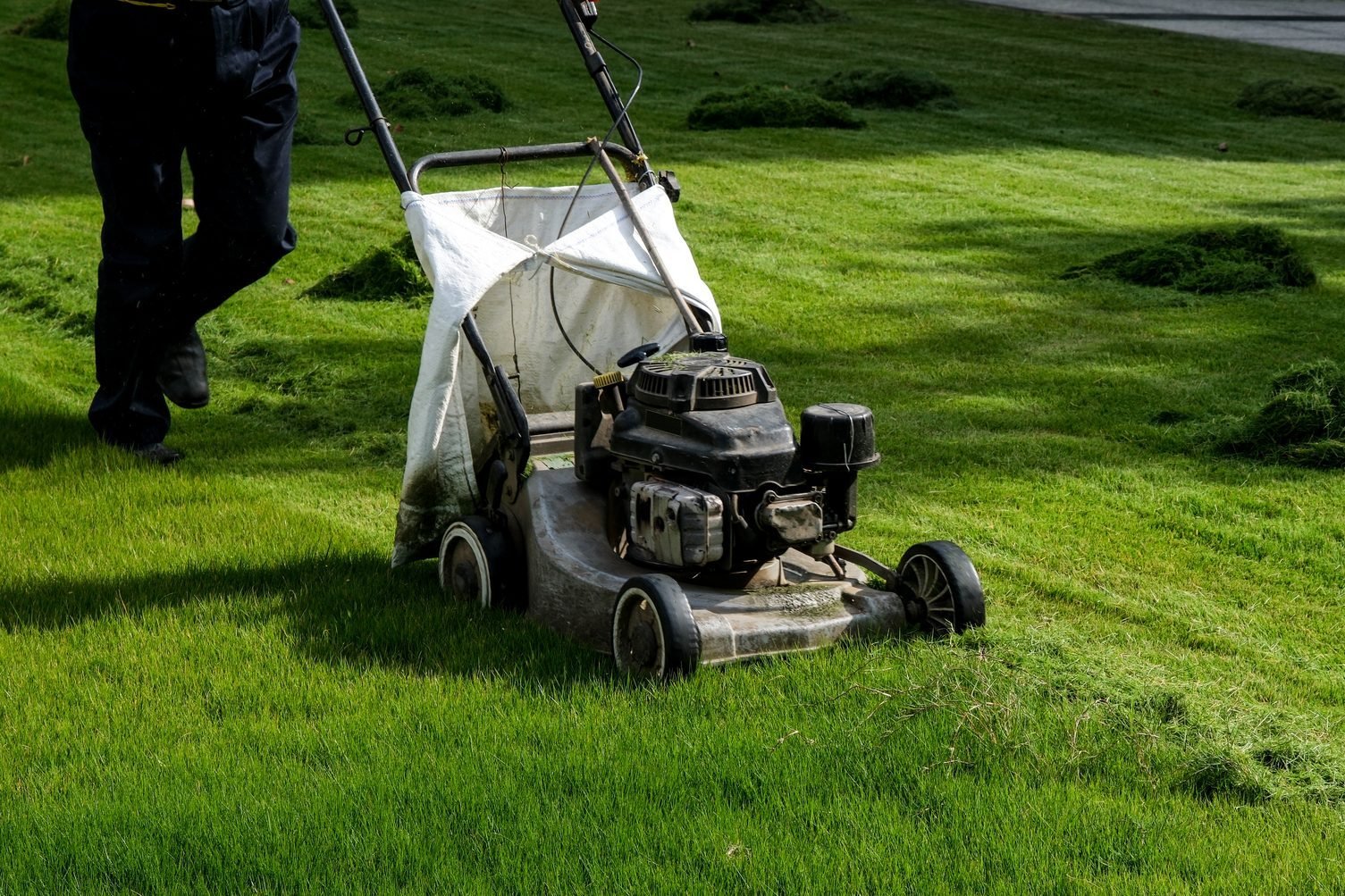 How to Keep Grass Green and Achieve a Healthy Lawn