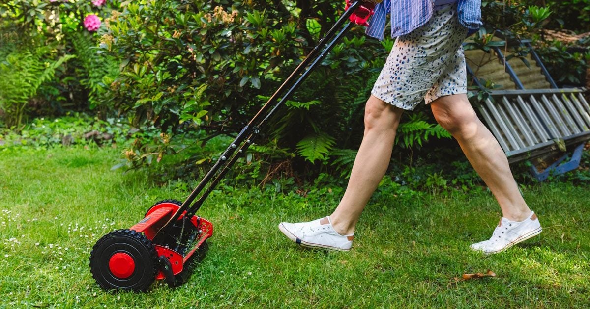 When Should You Start Mowing Your Lawn in the Spring?