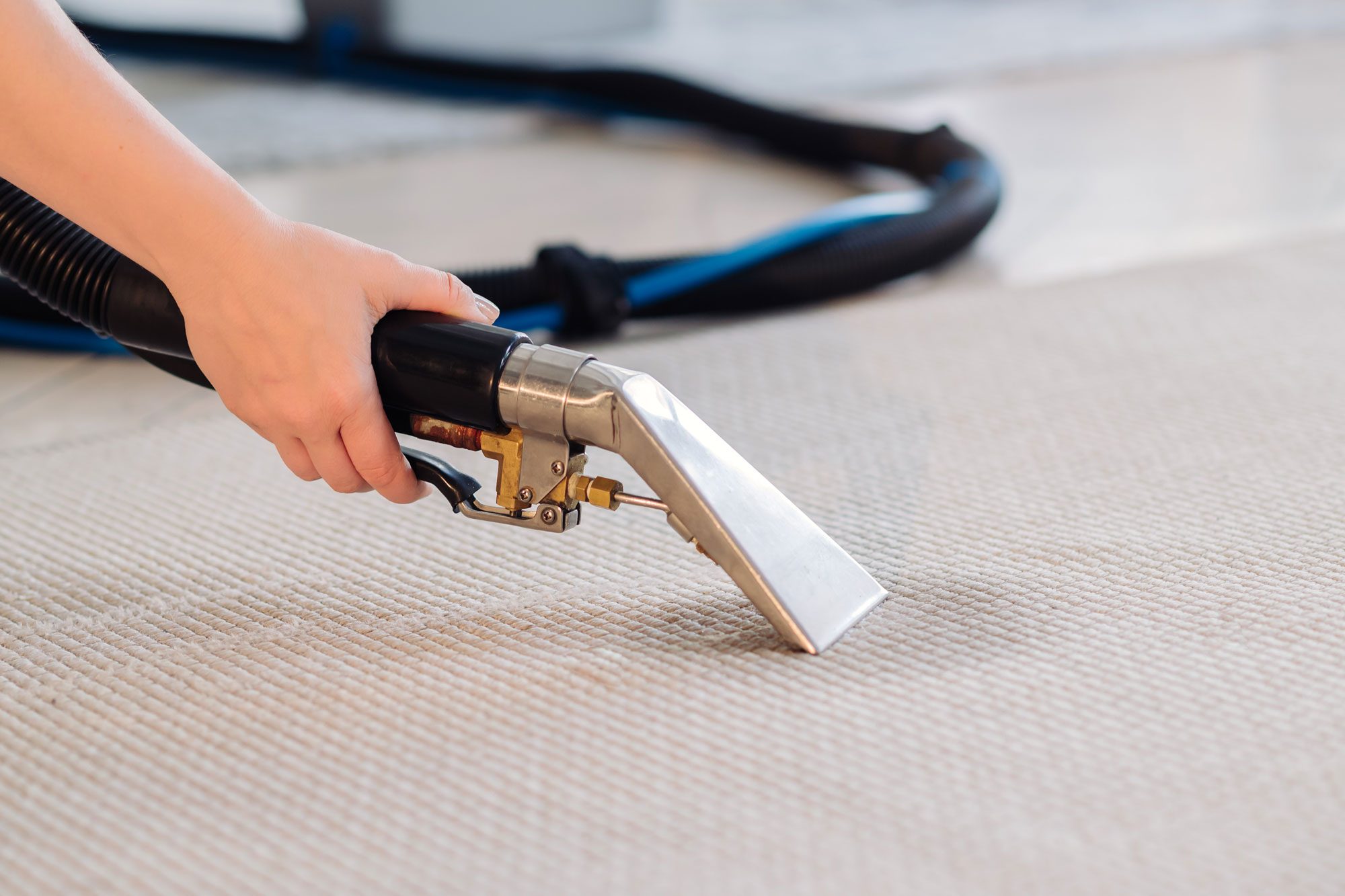 What Should You Do If Your Basement Carpet Gets Wet?