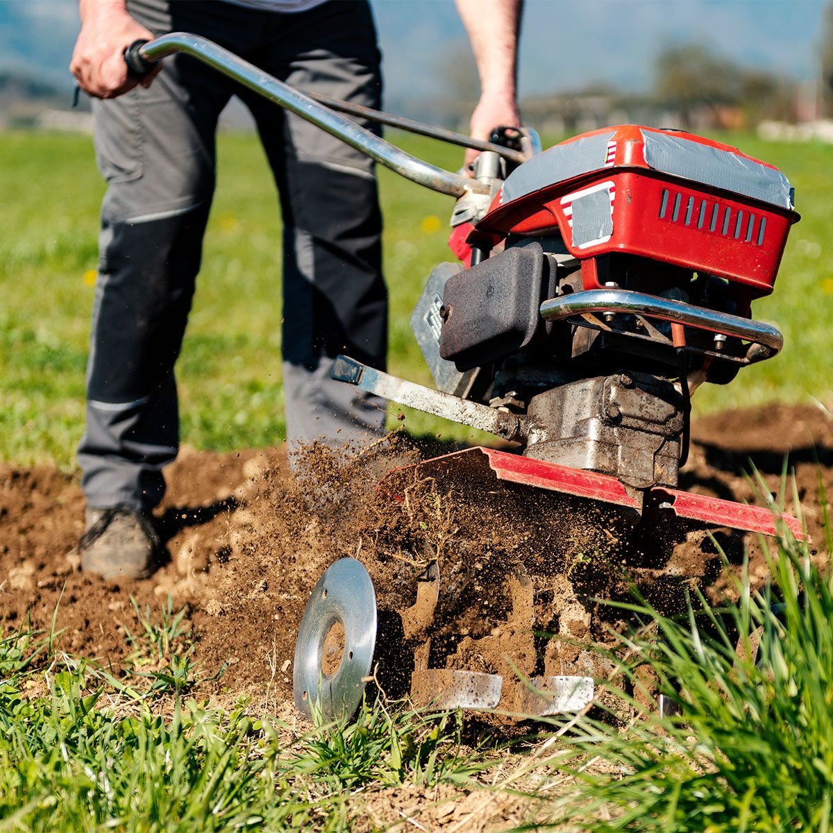 All You Need to Know About Garden Tilling