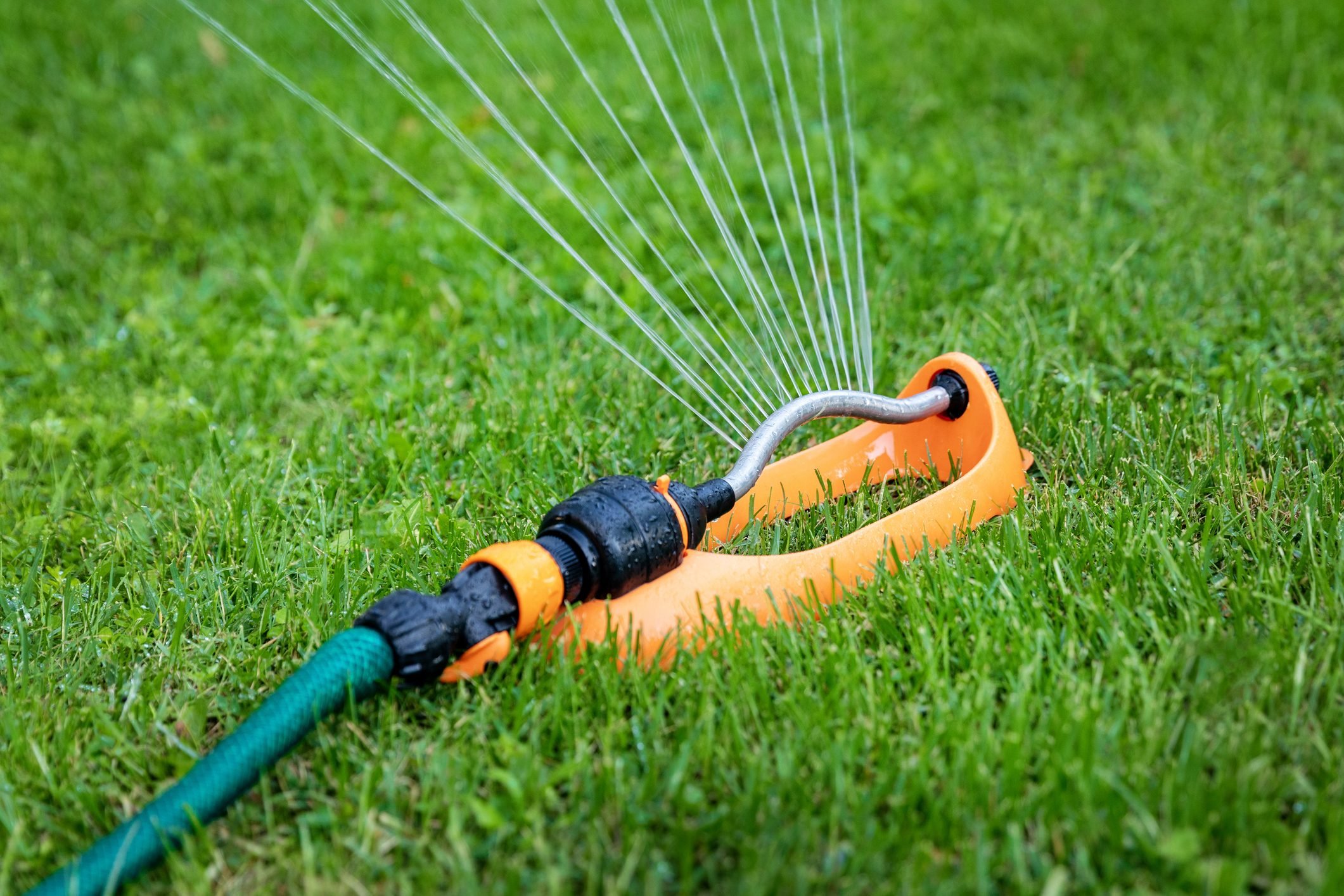 10 Smart and Effective Ways to Water Your Lawn