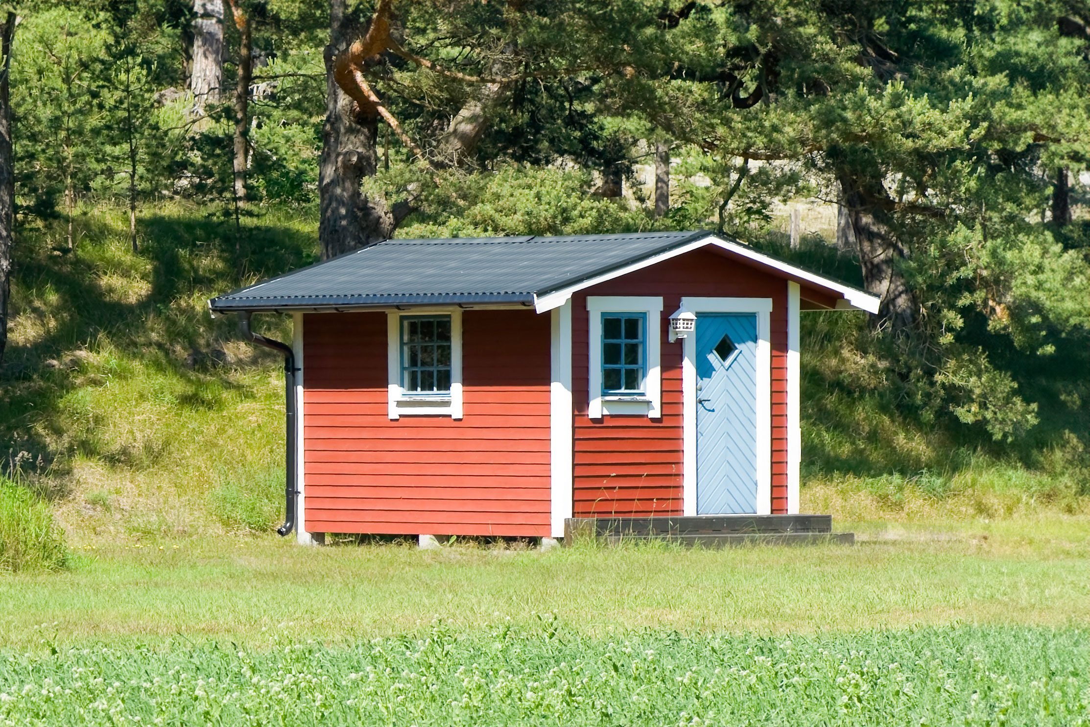 Can You Turn a Shed Into a Tiny Home? Here's What to Know