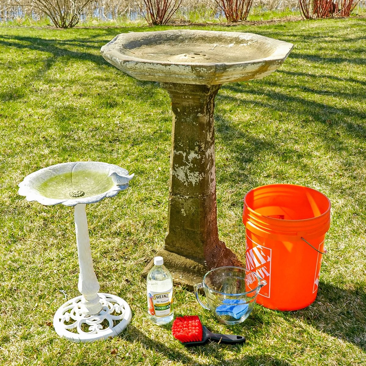 How To Clean a Birdbath the Right Way