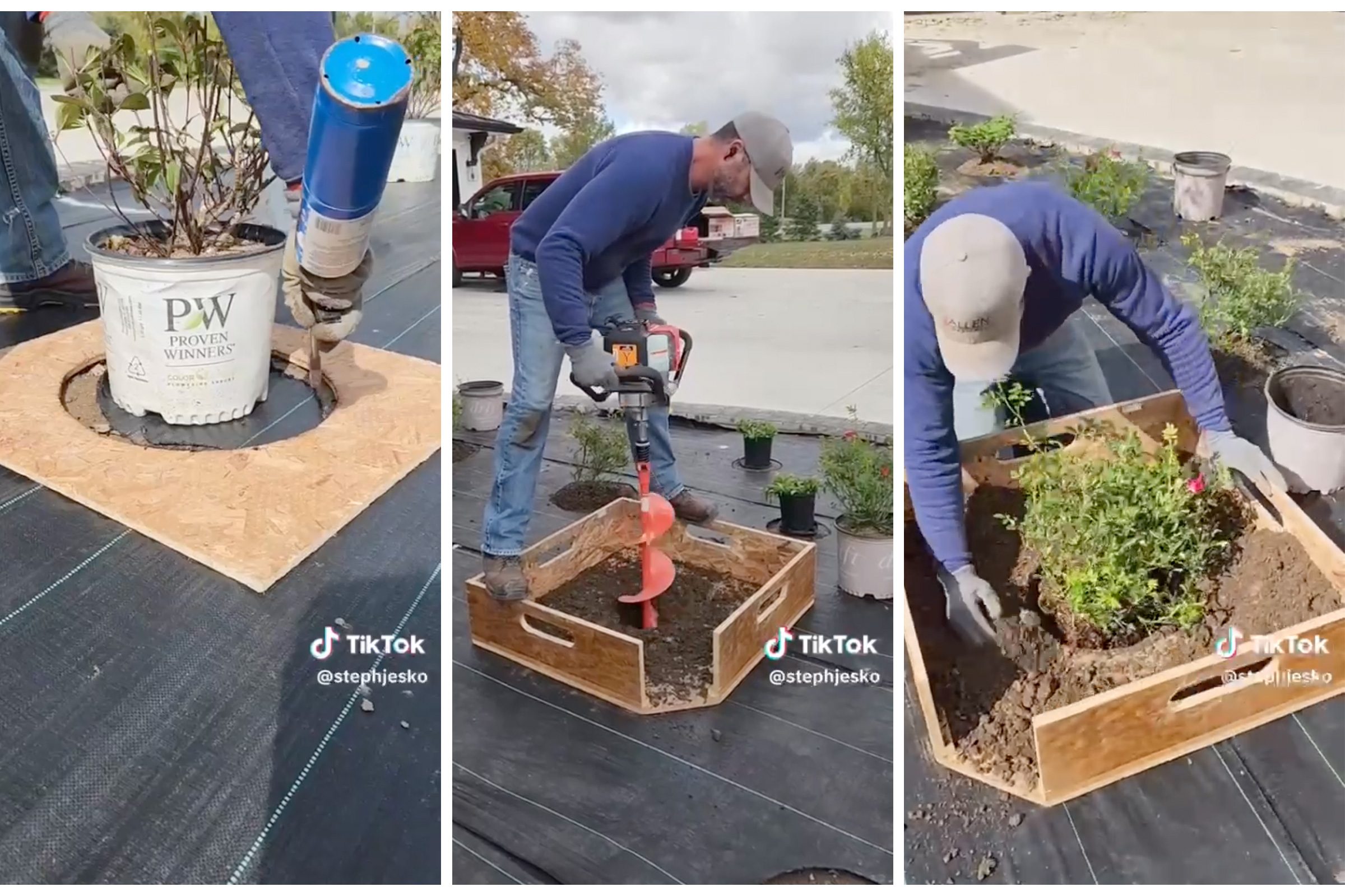 Transform Your Landscape With This Genius TikTok Planting Hack