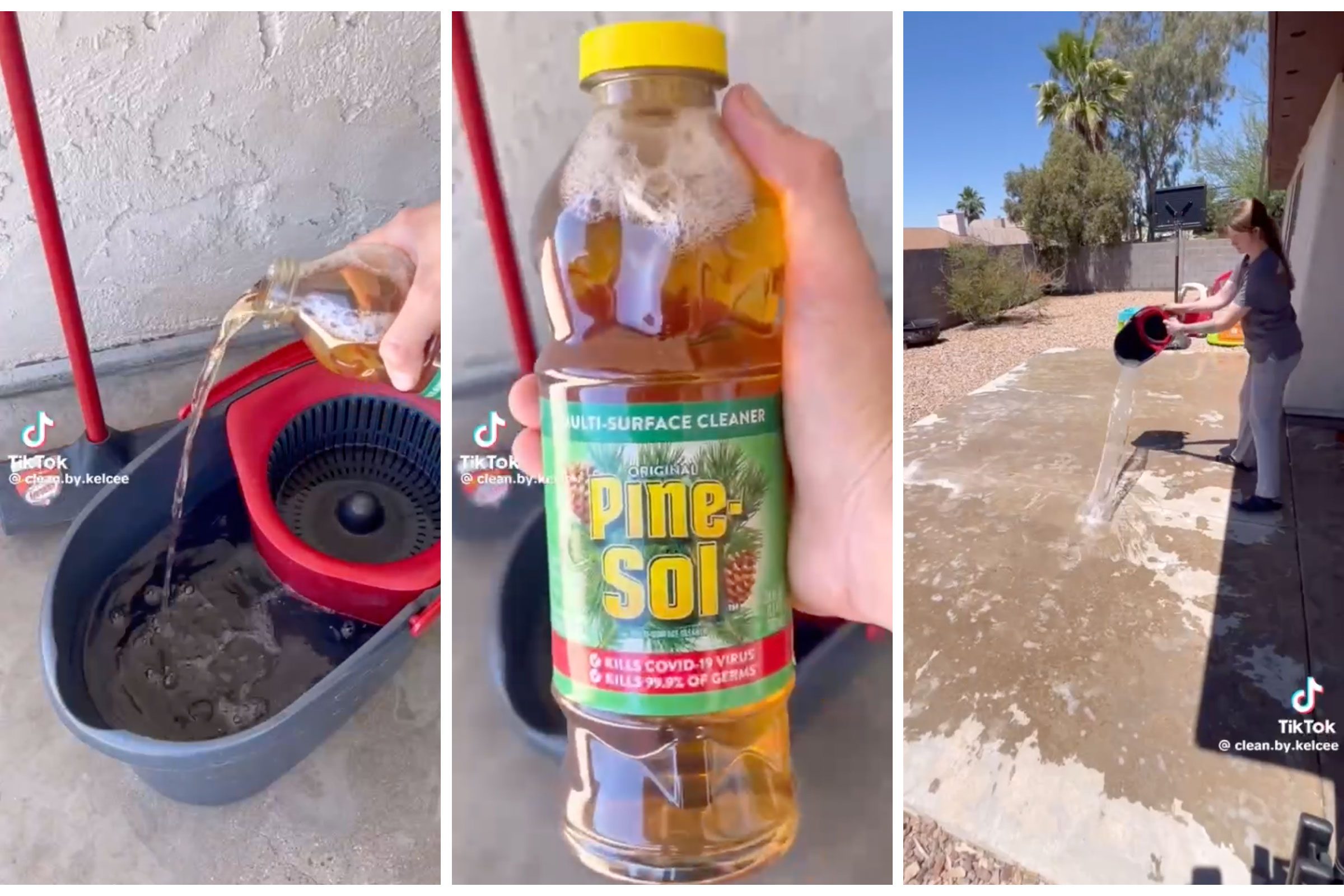 Will This Pine-Sol TikTok Hack Really Keep Flies Away From Your Porch?