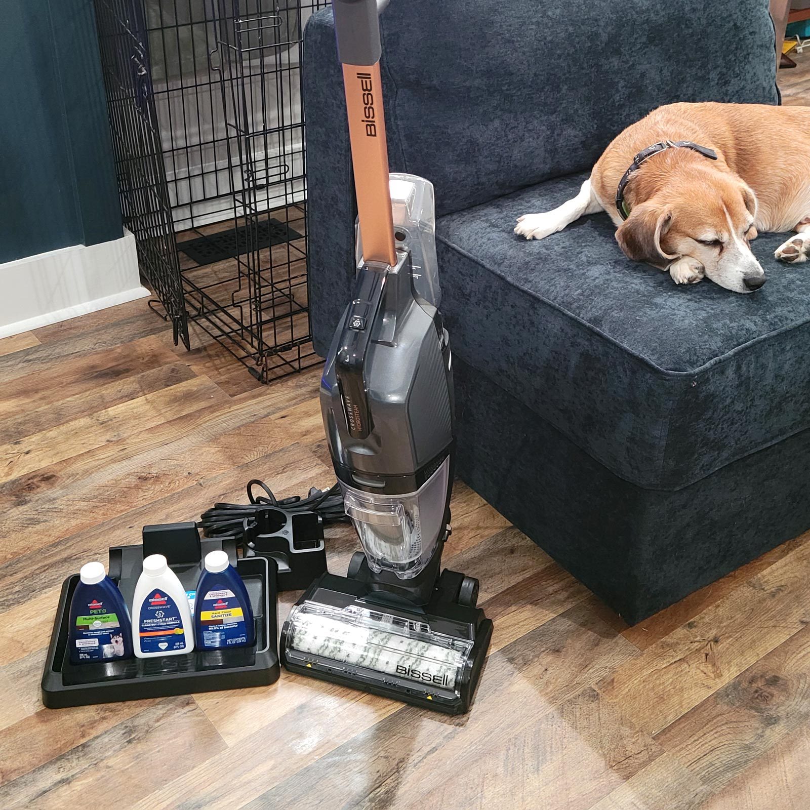 We Tested the Bissell CrossWave HydroSteam Plus Vacuum on a Variety of Pet Messes