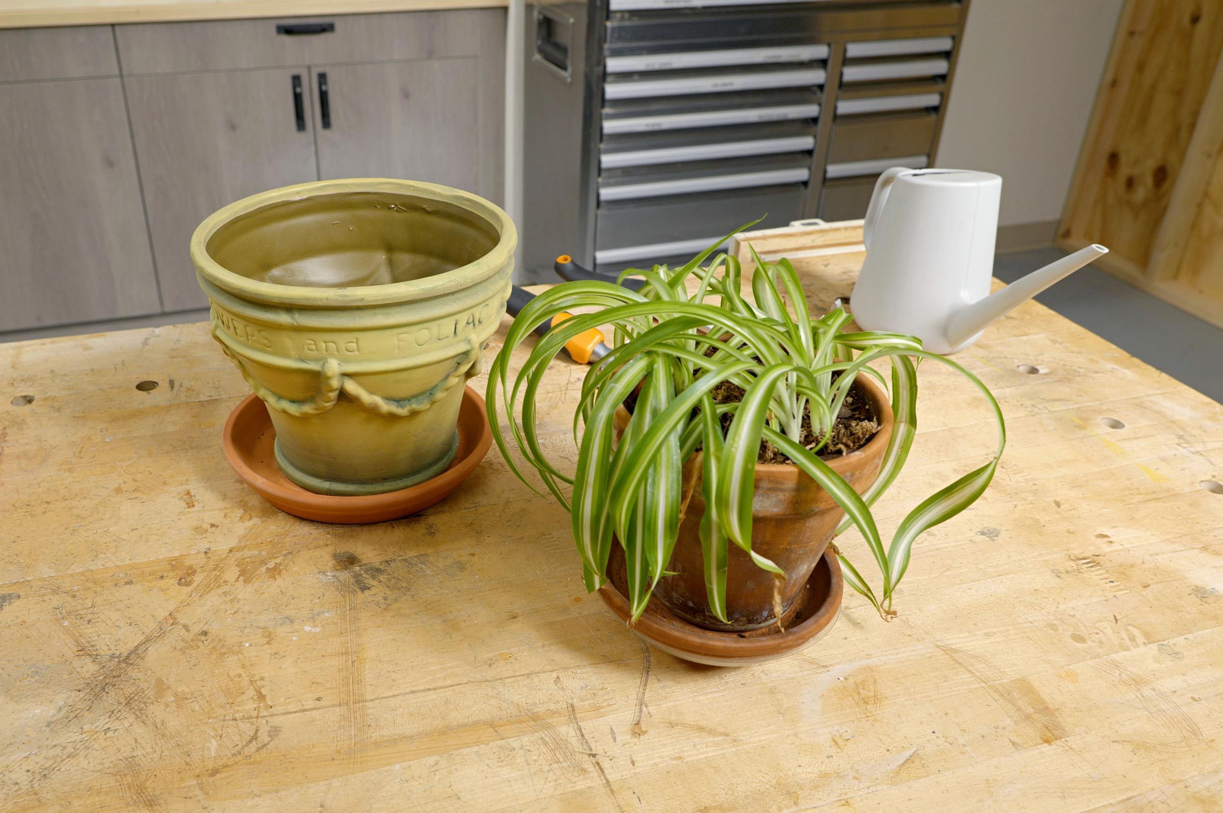 spider plant in small clay pot with a bigger pot next to it