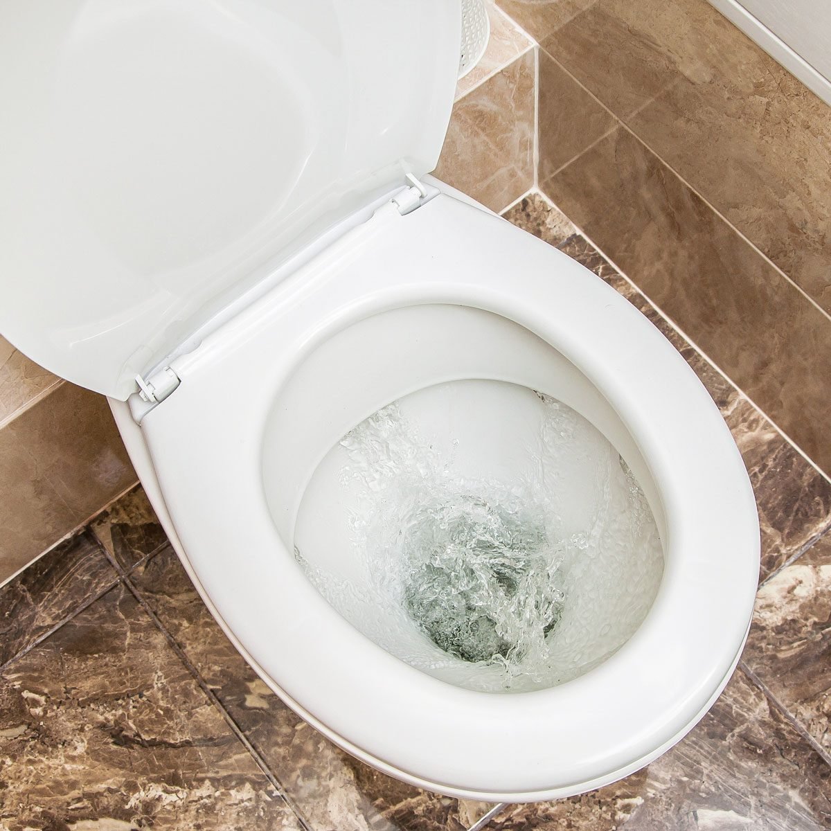 10 Reasons Why Your Toilet Won't Flush