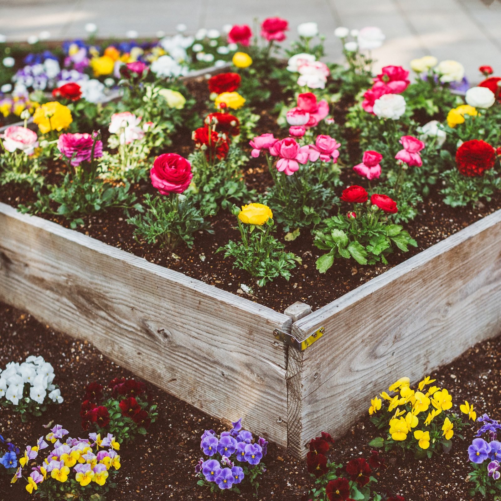 10 Best Small and Simple Flower Bed Ideas