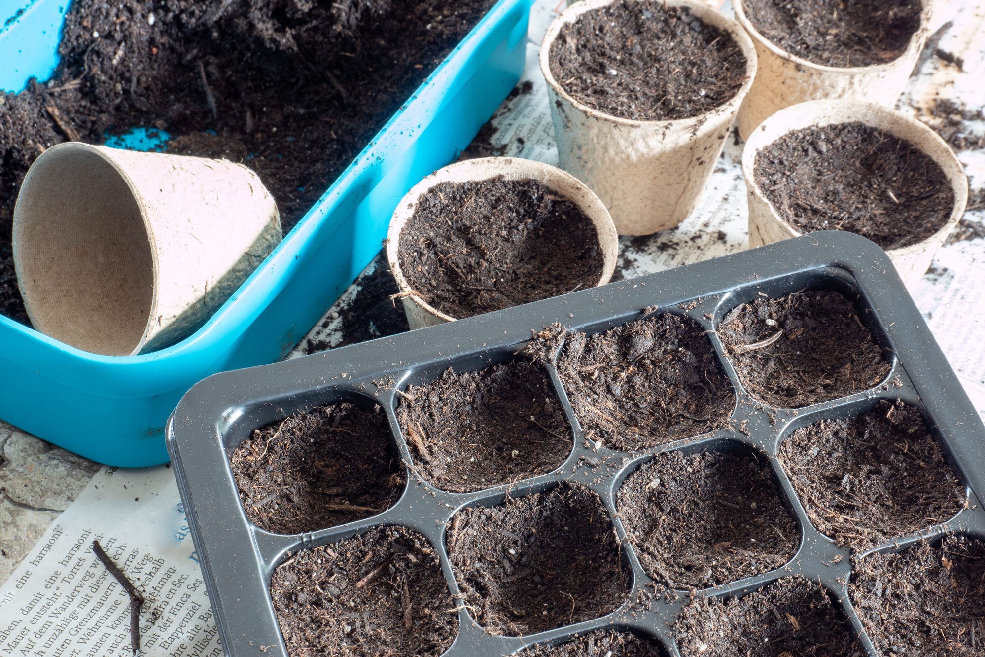 Sowing plants in spring background