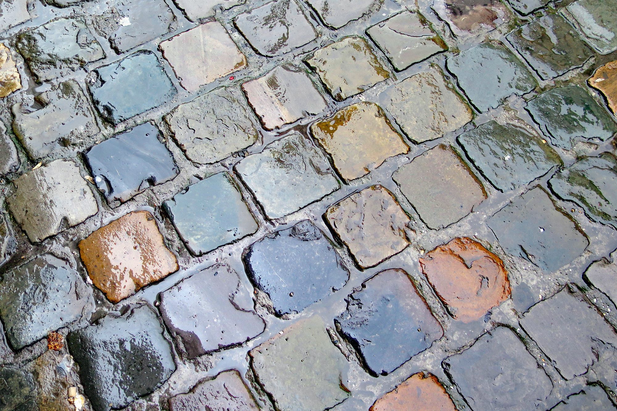 The colorful cobblestones of a rain-soaked sidewalk in Brussels