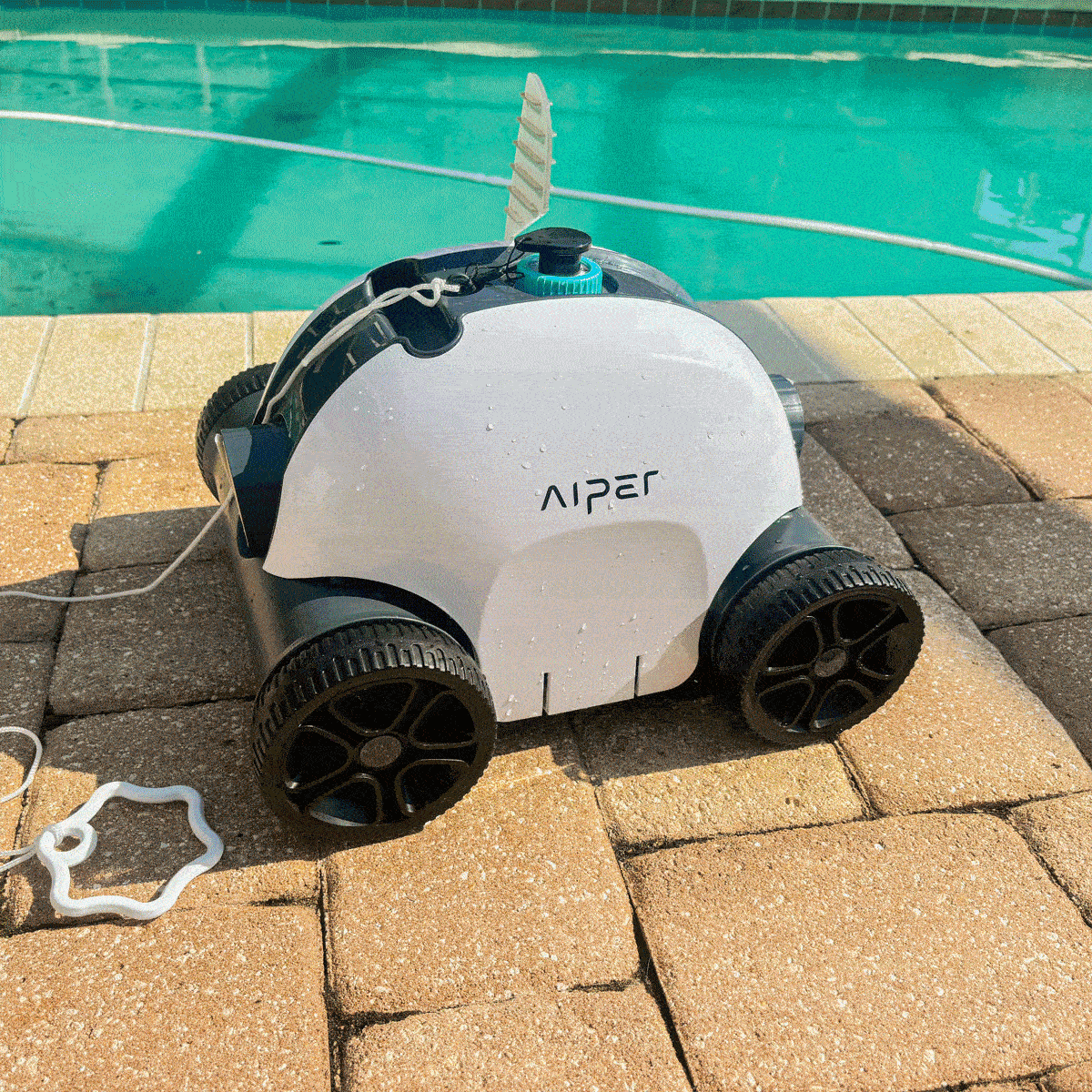 The 6 Best Pool Vacuums, Tested and Reviewed