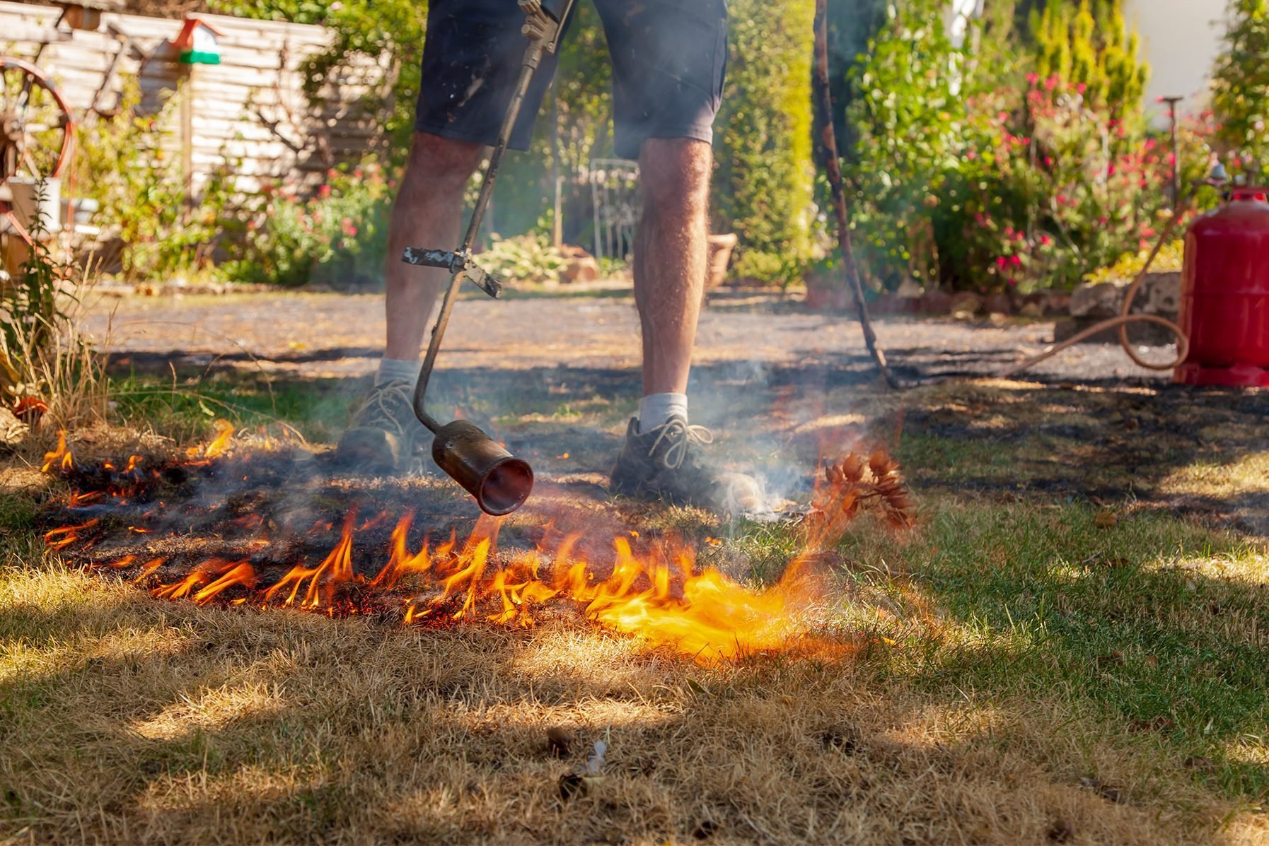 Can You Get Rid of Weeds with Weed Burners?