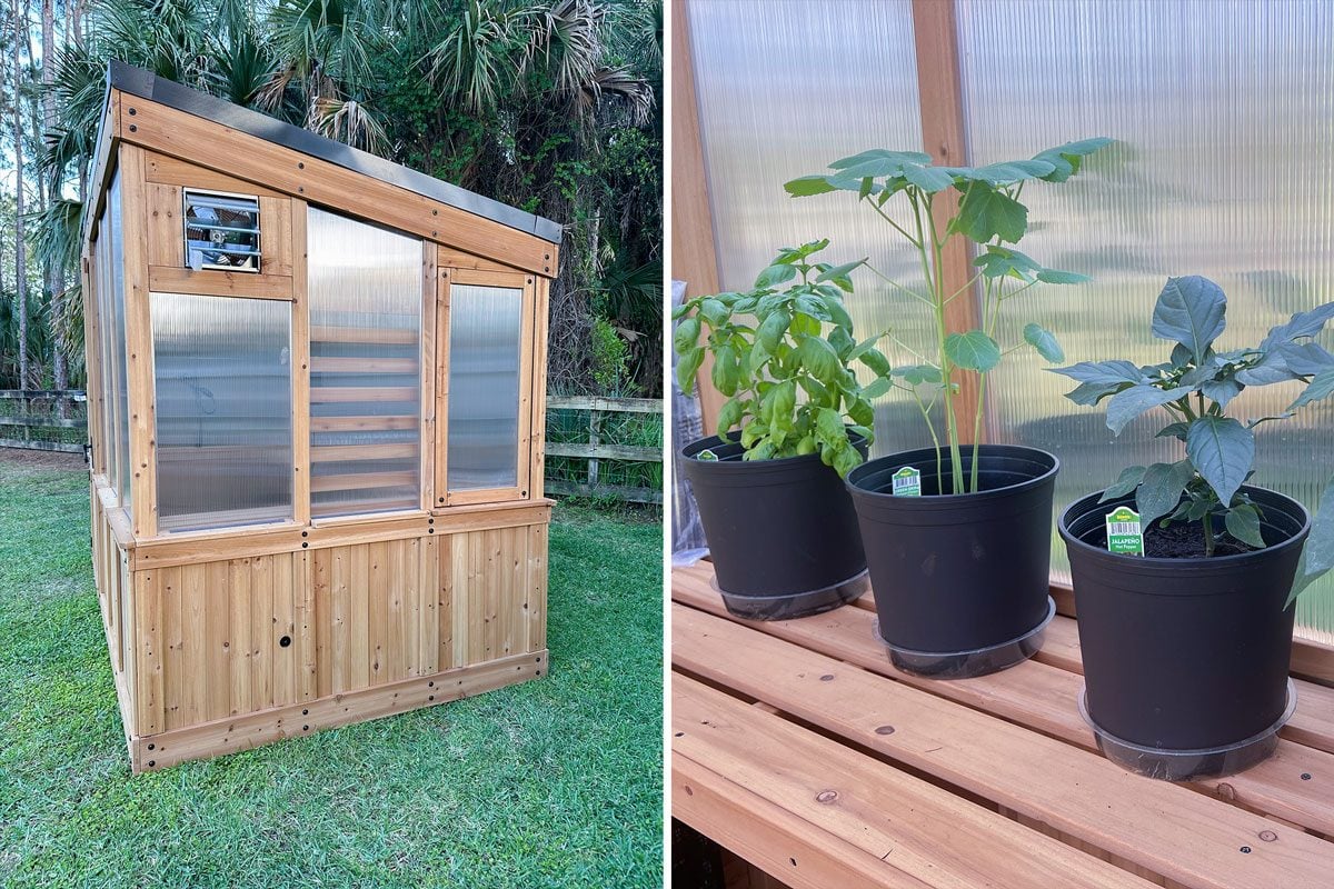 Backyard Discovery Greenhouse Product features