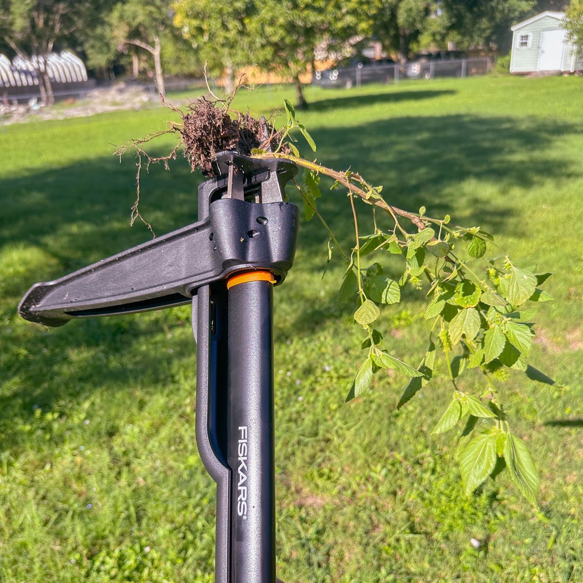 Fiskars Deluxe Stand Up Weeder