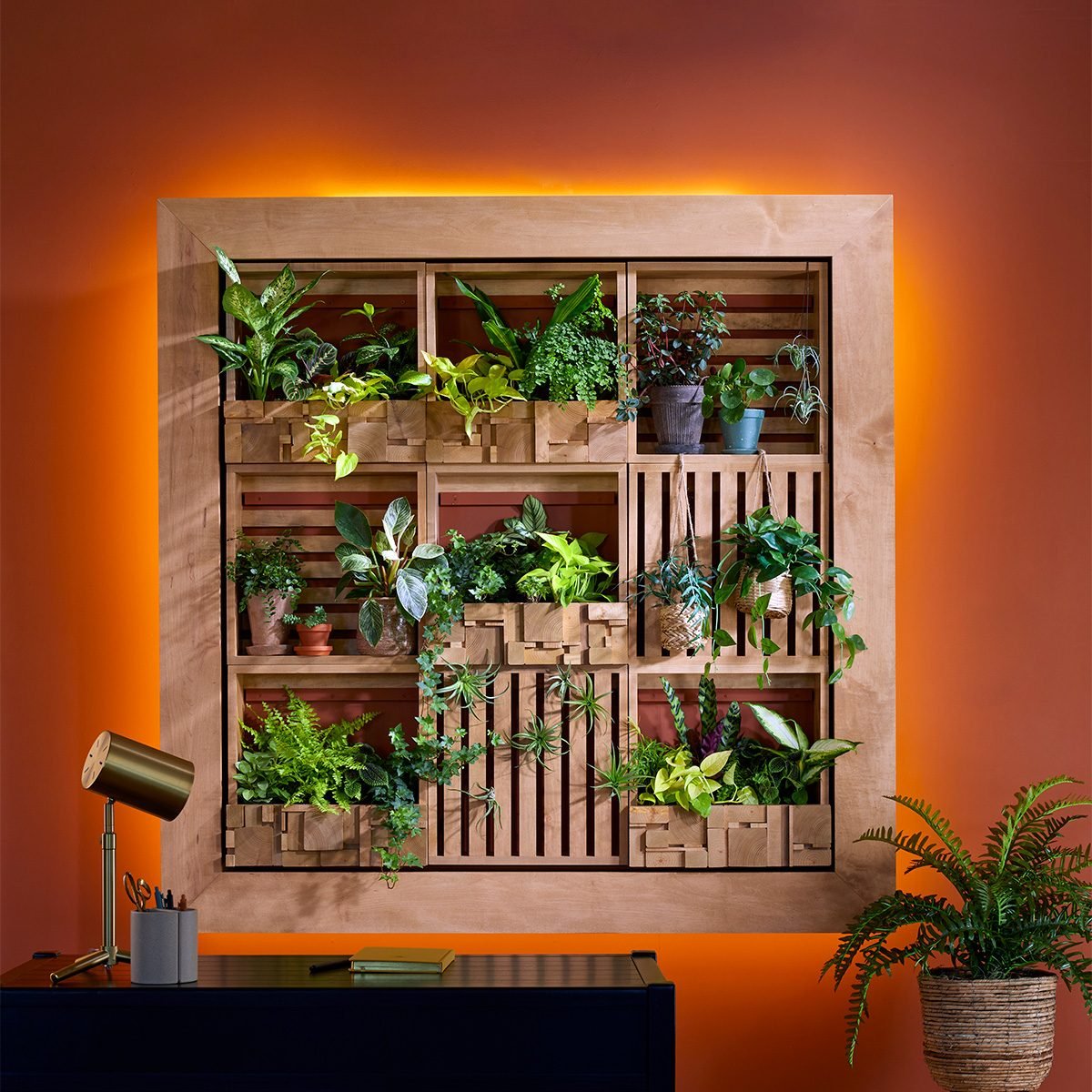 How To Make a Living Wall