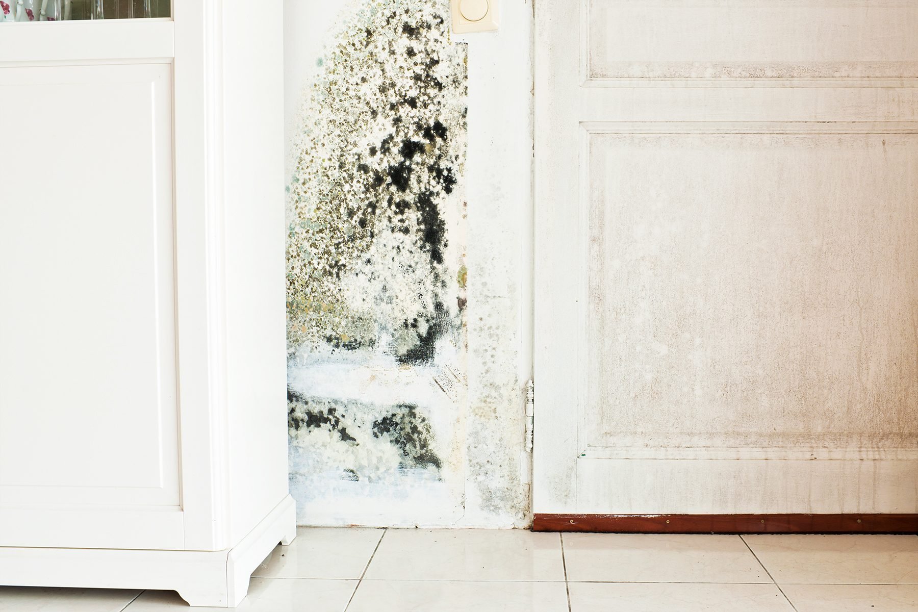 How to Get Rid of Mold on Bathroom Walls
