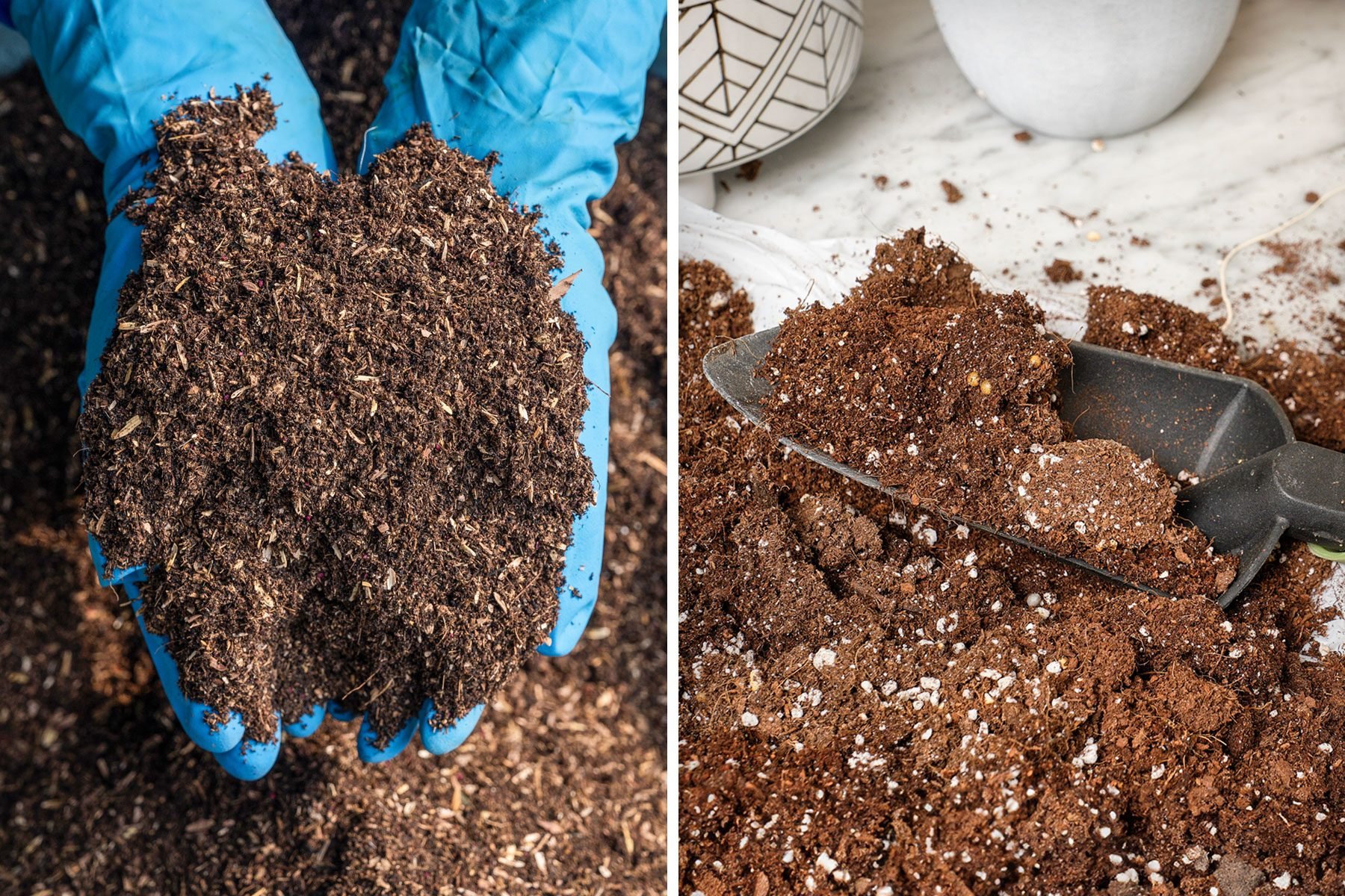 What's the Difference Between Potting Soil and Potting Mix?