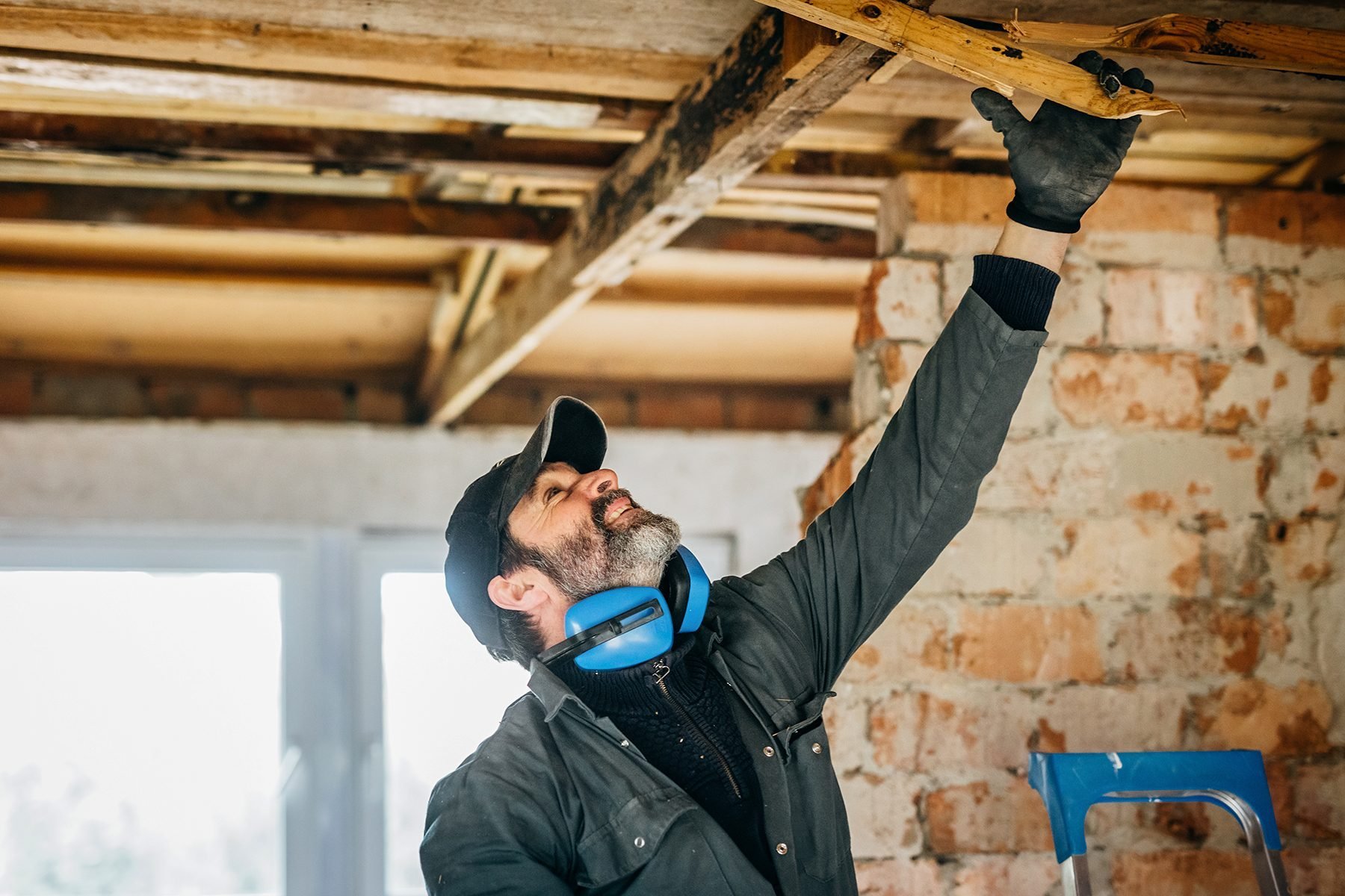 Do I Need a Termite Inspection? What To Know about Hiring an Inspector