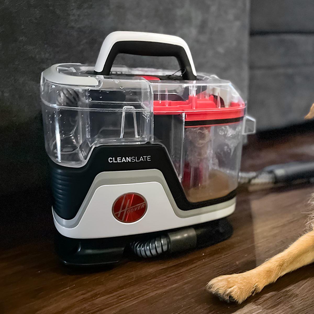 Hoover Clean Slate Review: We Tried this Carpet Cleaner Machine and Love it For Pet Messes