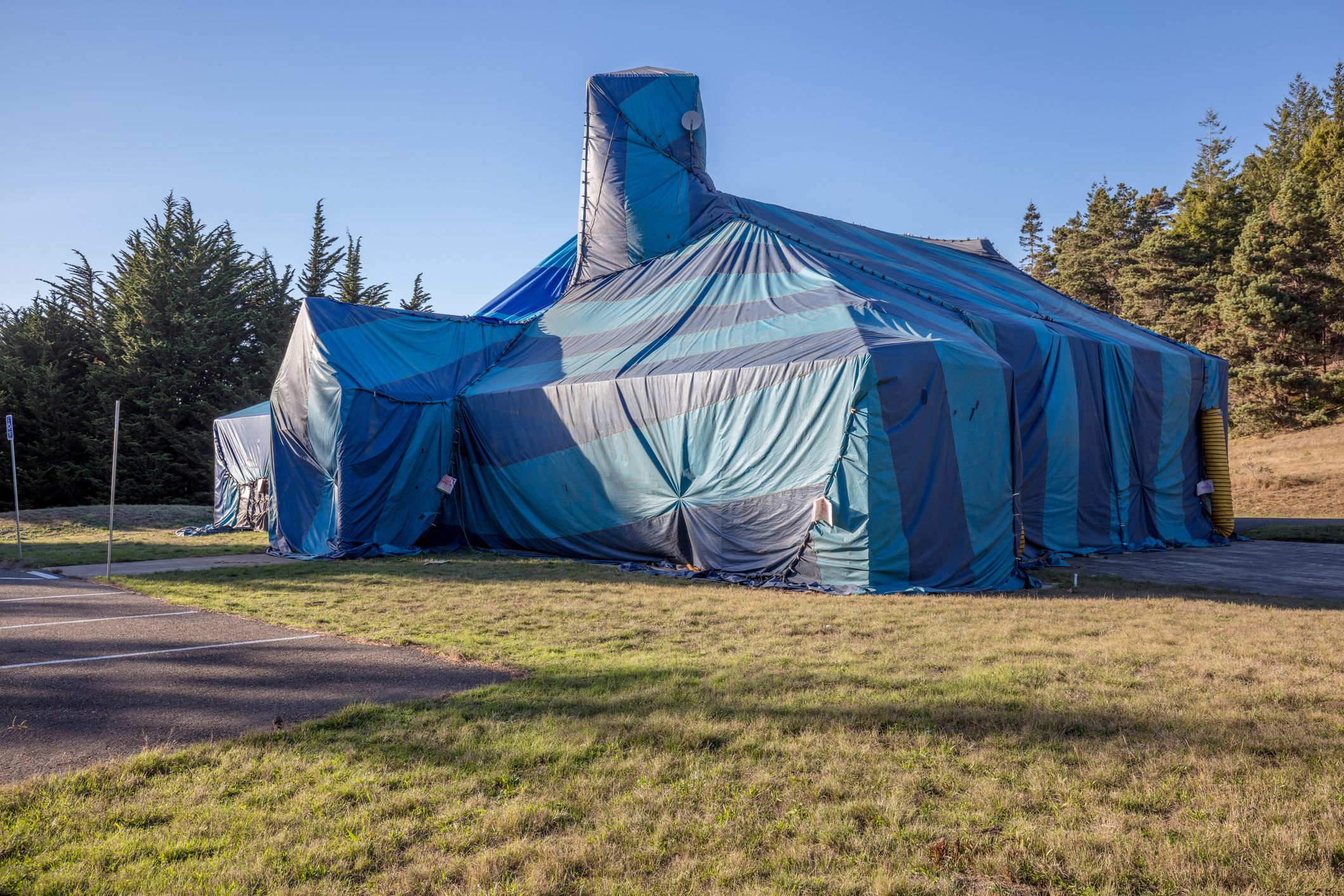 Everything to Know About Termite Tenting