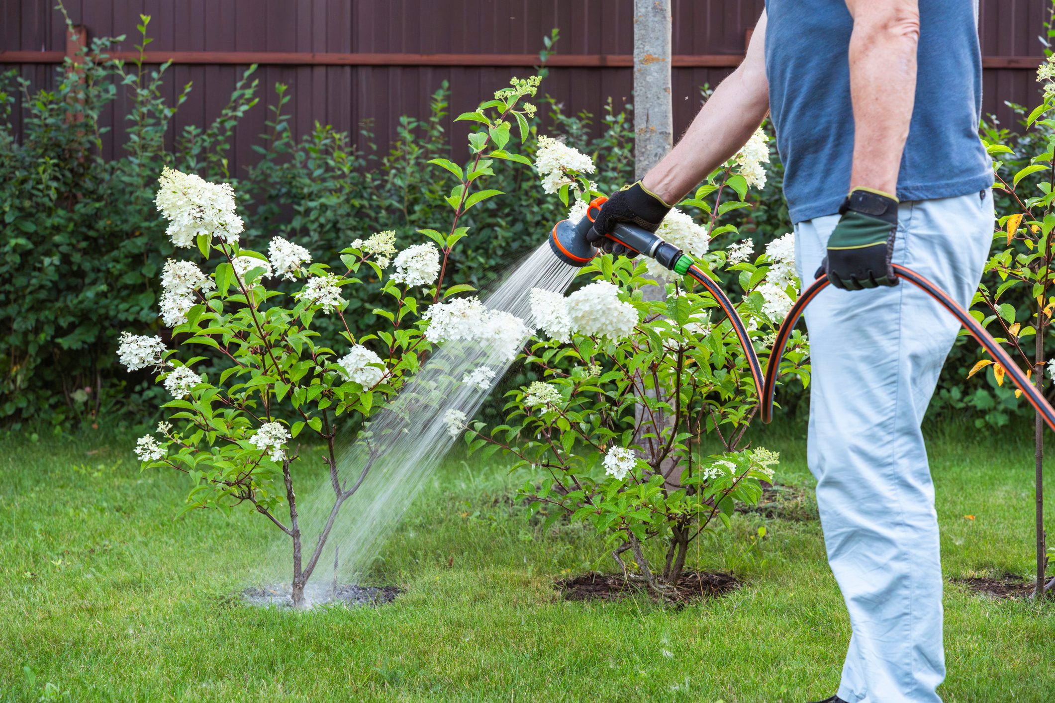 Man is watering garden