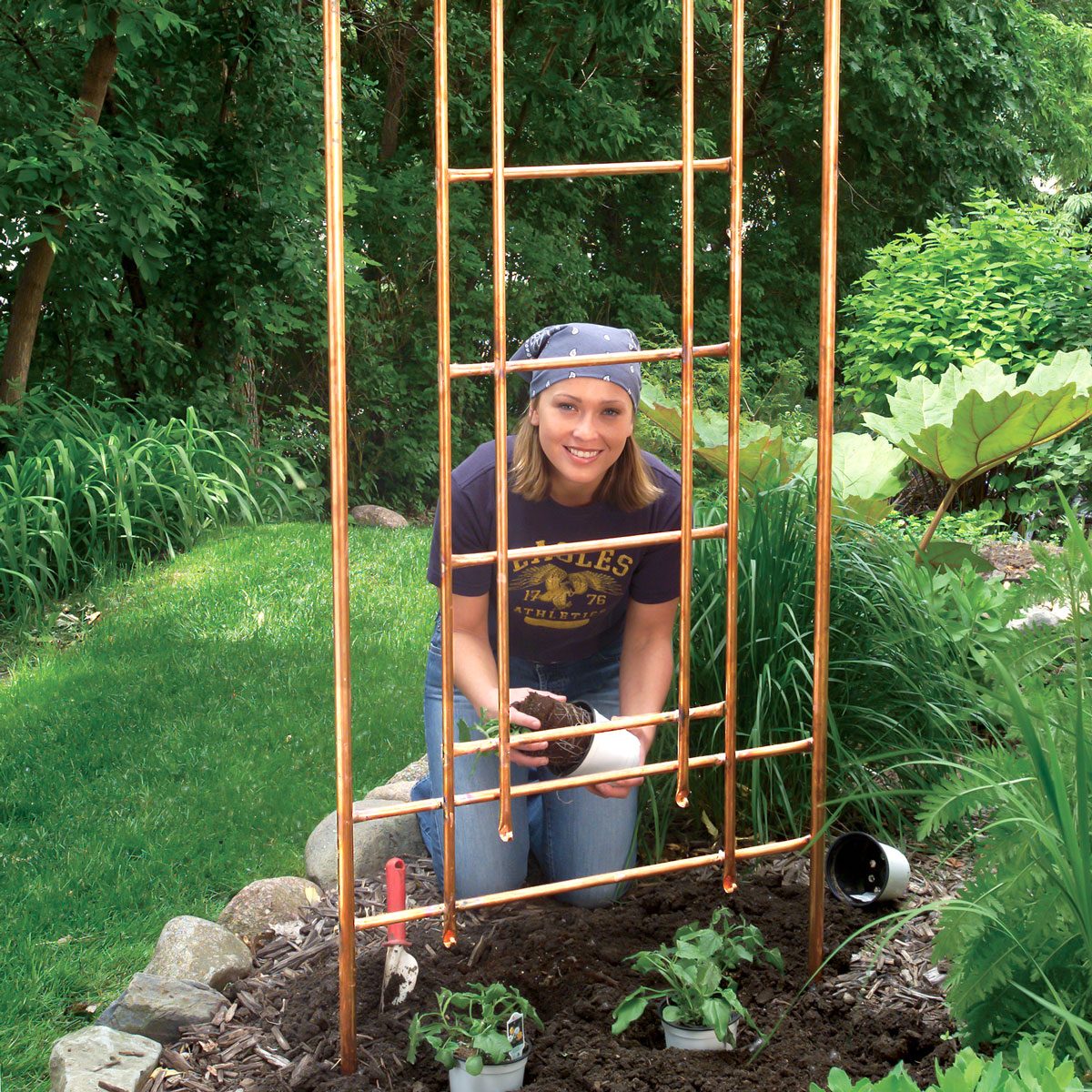 How To Build a Copper Trellis for Your Garden