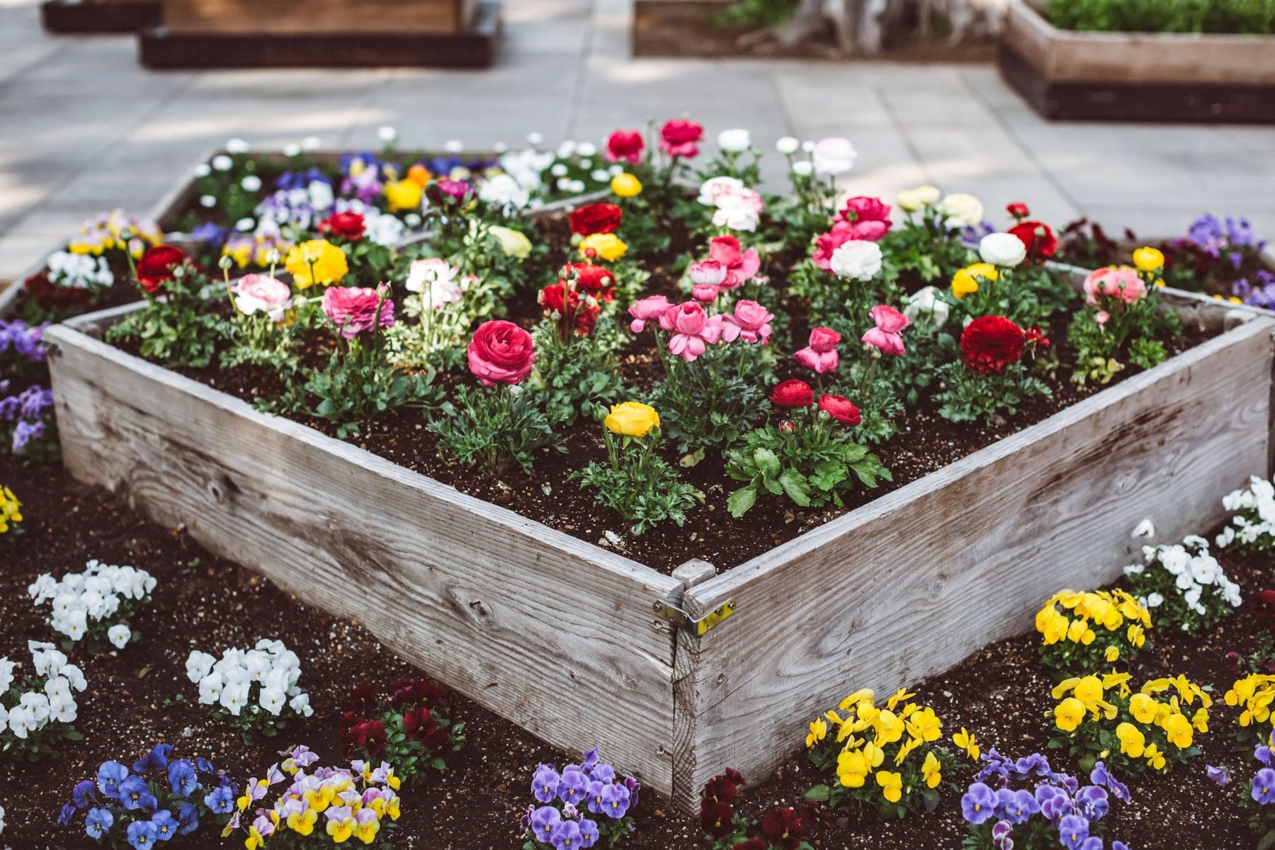 How to Prevent Weeds in Flower Beds