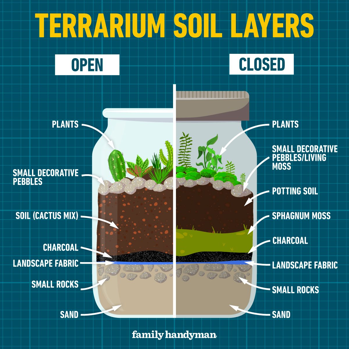 Overview Of Terrarium Soil Layer