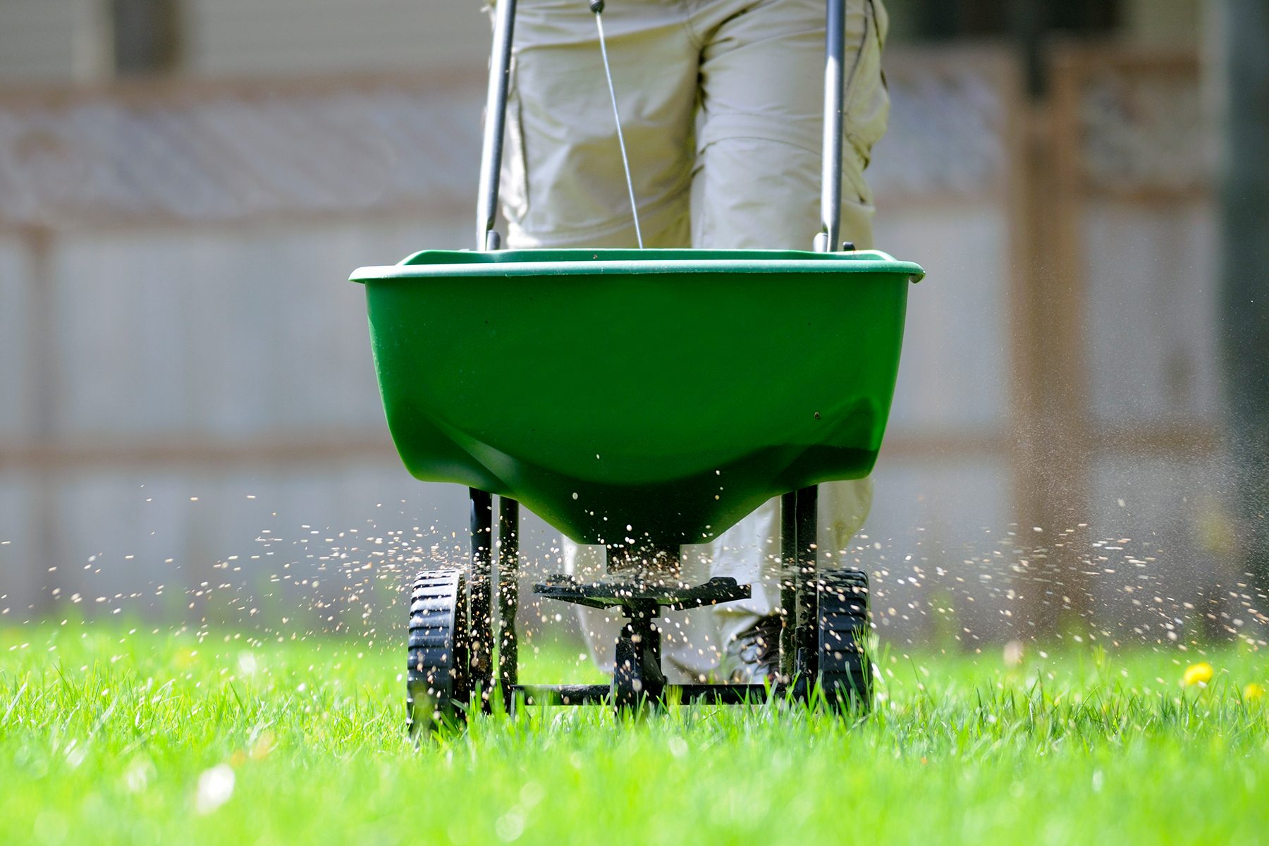 When Should I Fertilize My Lawn?