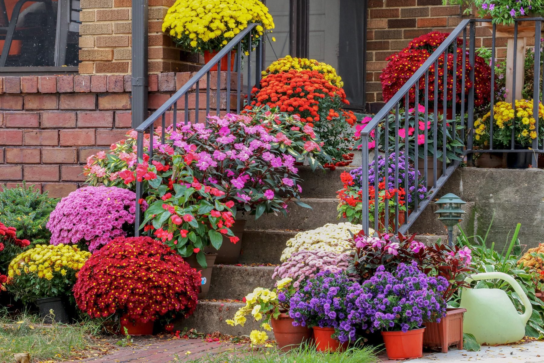 8 Outdoor Plants to Get Ready for the Fall