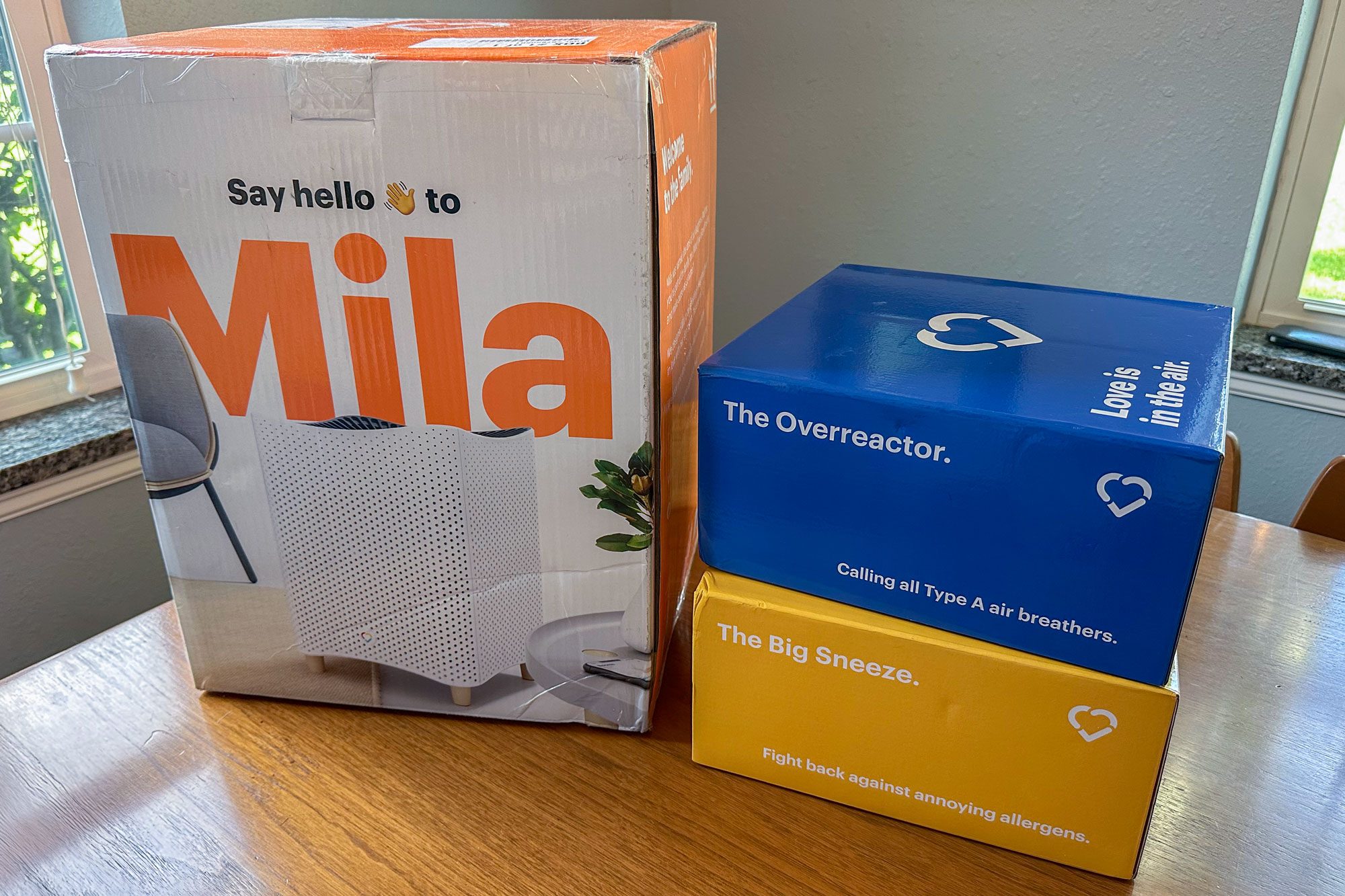 Mila Air Purifier Reviews