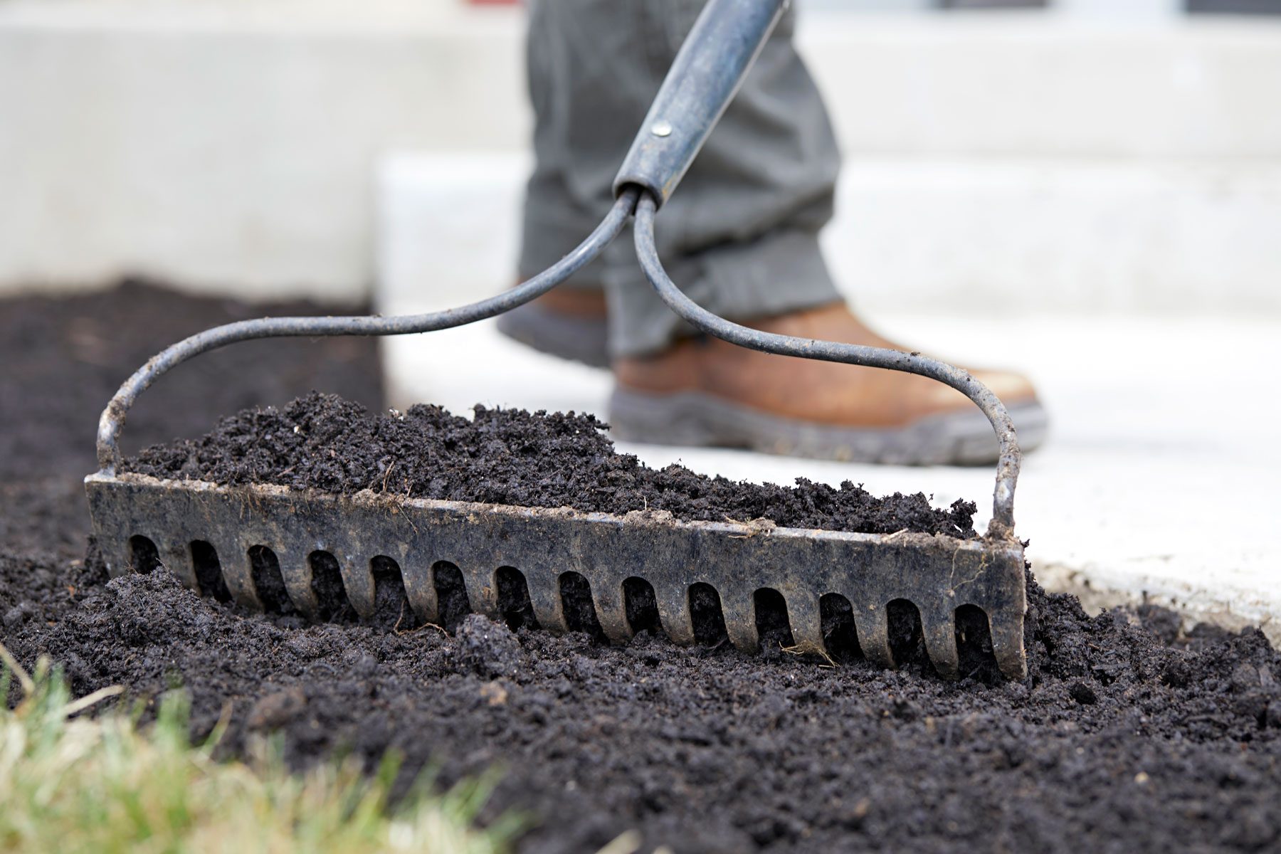 Rake being used to mix in compost and or topsoil.