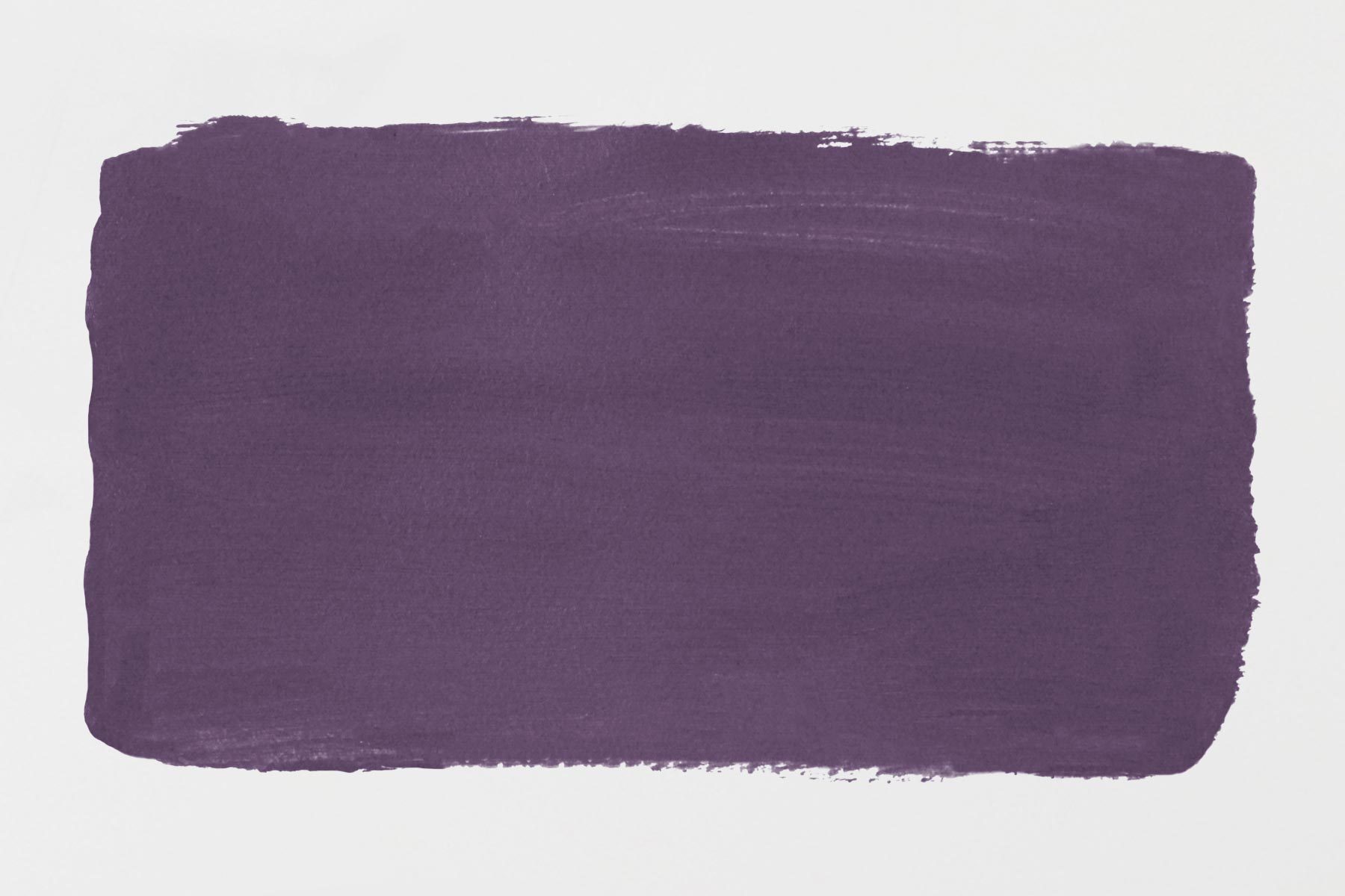 The 2025 Colors Of The Year And How To Use Them Violet paint swatch on plain wall